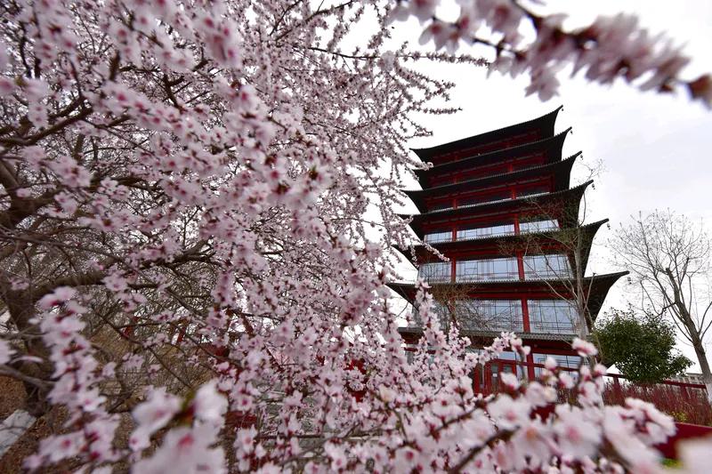 春晓
绿草芳堤翠柳烟
杨花曳舞画航船
笛声绕亮清江水
两岸花红鸟语喧