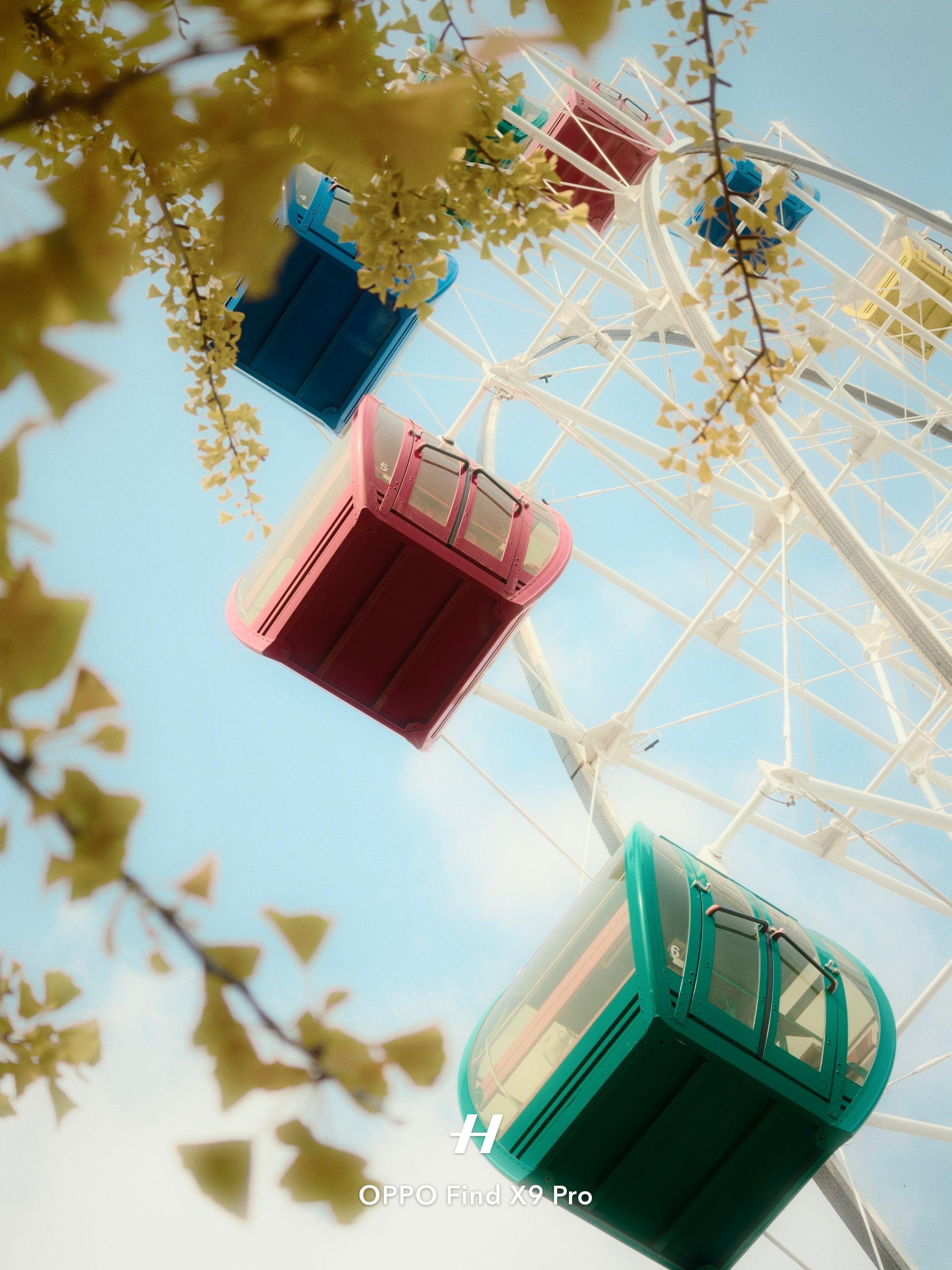 大师模式！大师模式！从广东来大连赶秋末的尾巴 真的被这里的秋天美哭了 ...