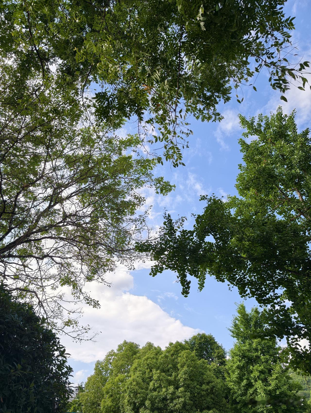 如果是以安全为目的的保护措施还能接受，结果是以防止逃票为目的的保护措施，这就有点