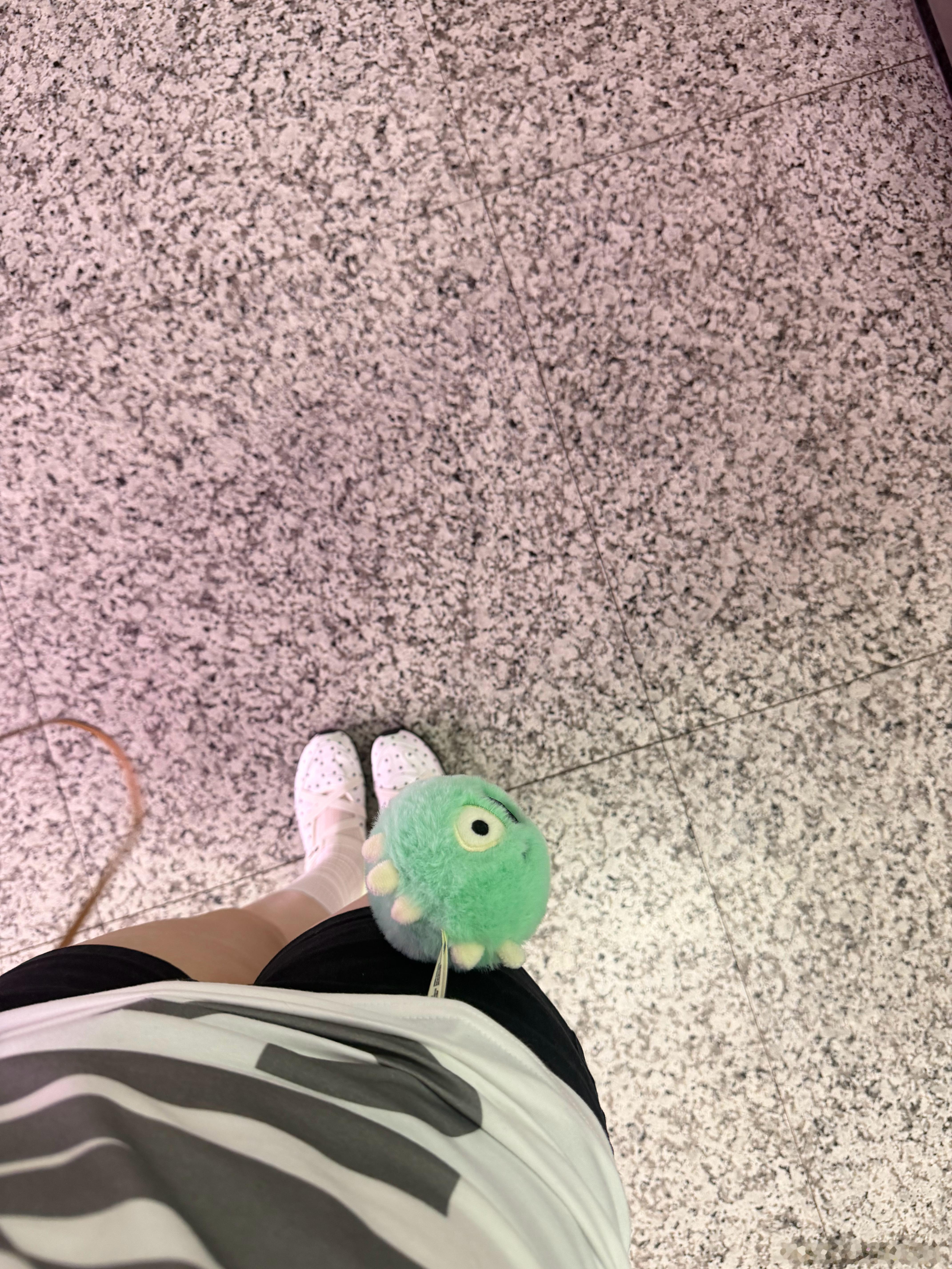 带小绿ball出去溜达 