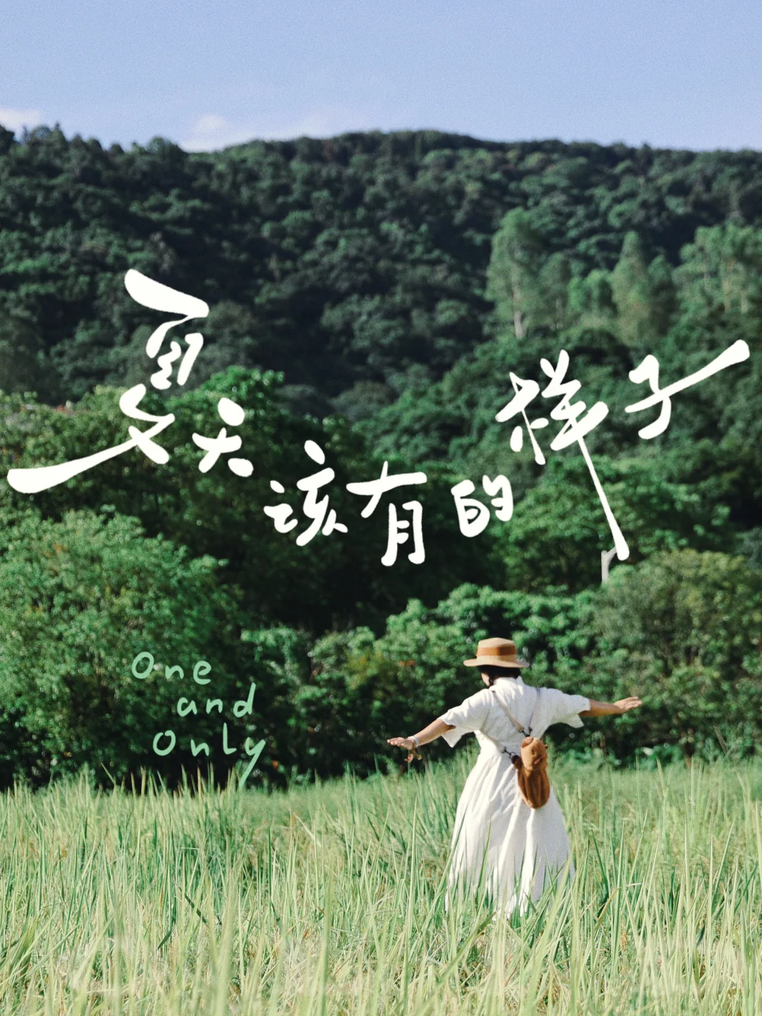 🌻广州黄埔 | 26°C 夏日，稻田拍照宝藏玩法