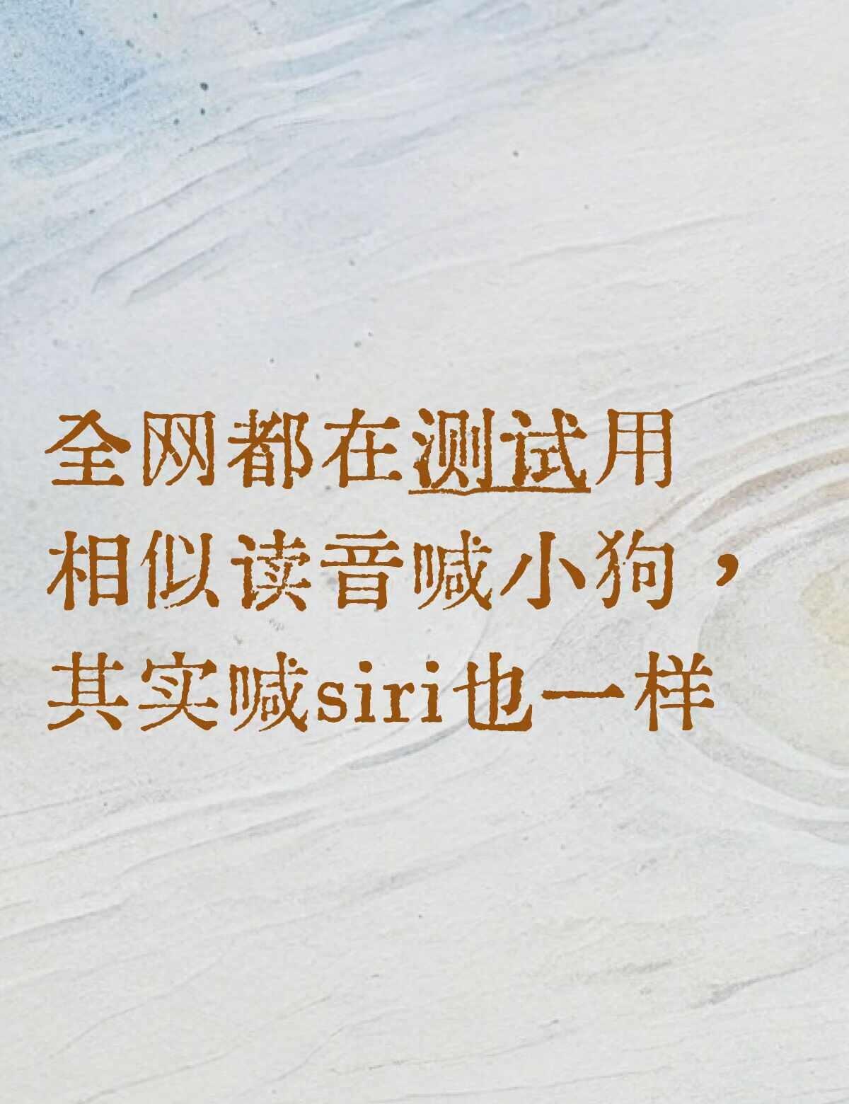 喊个犀利它就冒出来了
siri 人工智能 8月4大笨猫事件 想说的如图所示