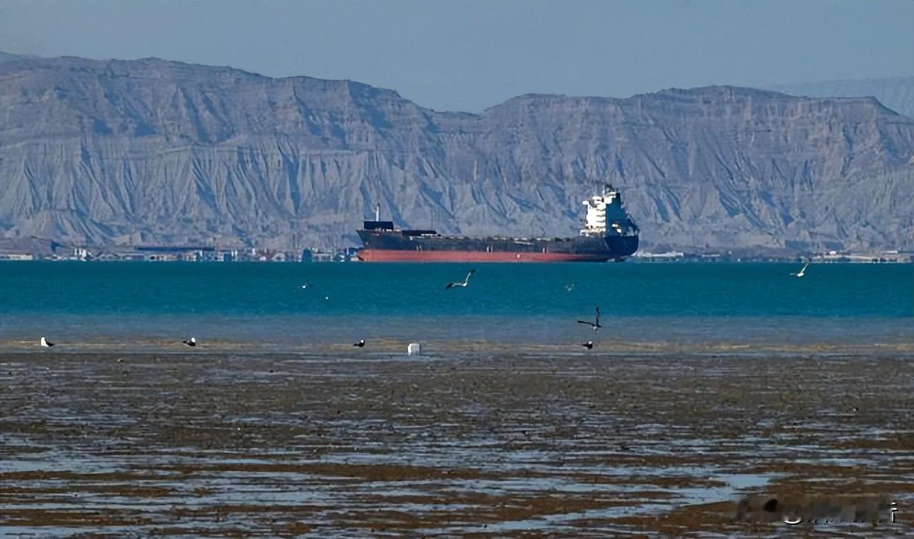 特朗普前脚刚定好来中国的日子，普京后脚就把行程排上了。这真不是凑巧。

4月14