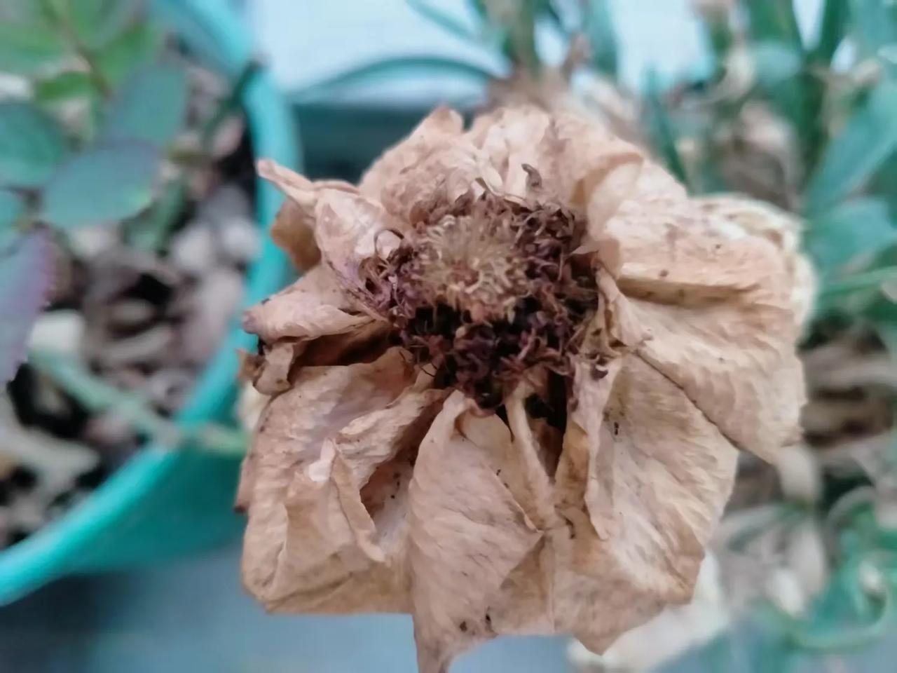 说起一见钟情，就想起了《刑警的日子》里的刘子明和方婷婷，他们初次见面彼此就产生了