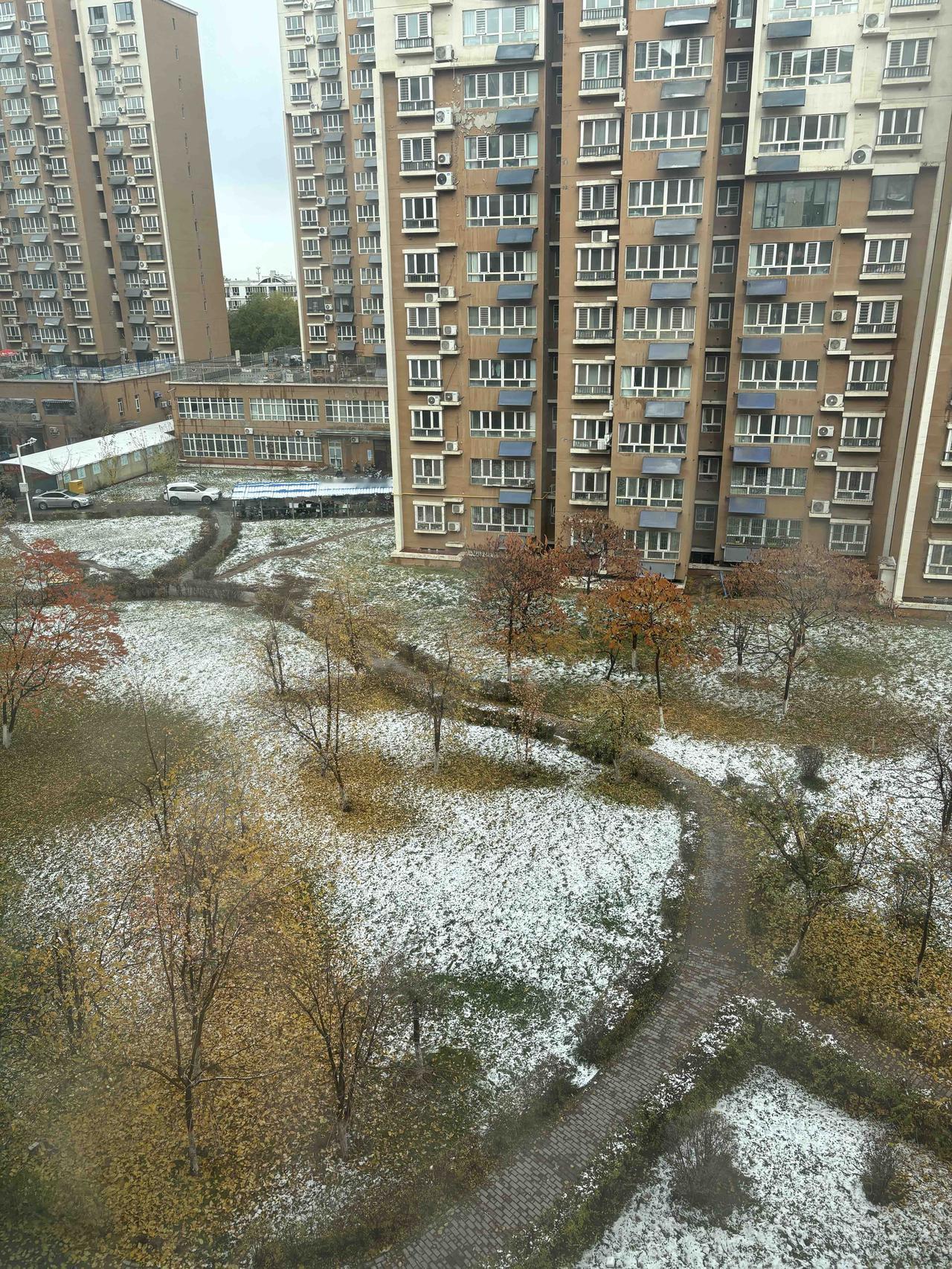 新疆今年的第一场雪，来得有点早啊