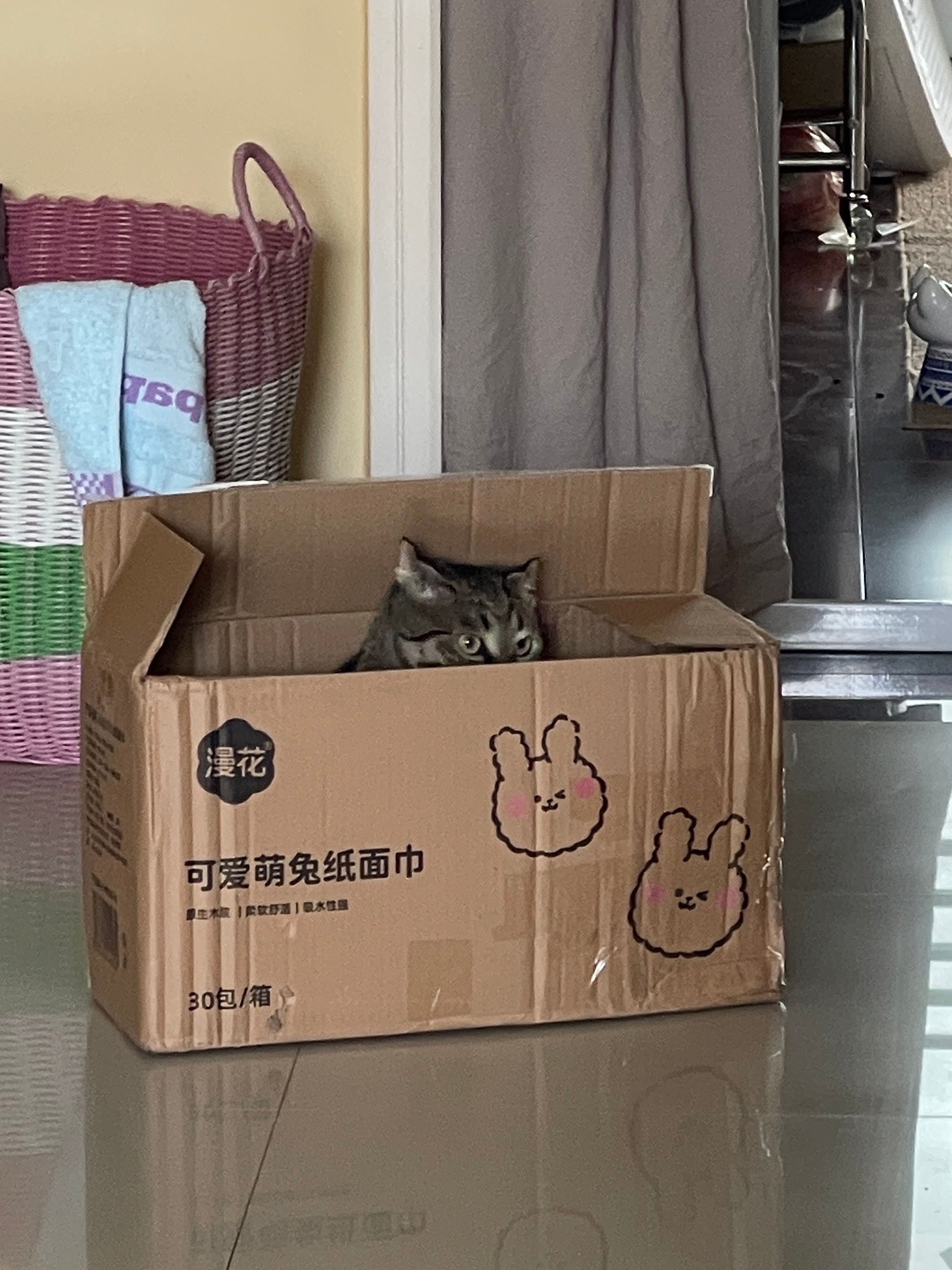 煮了些毛豆花生，让我爸下了班来拿。开门的时候我特意抱着肉肉，想让肉肉看看我爸，结