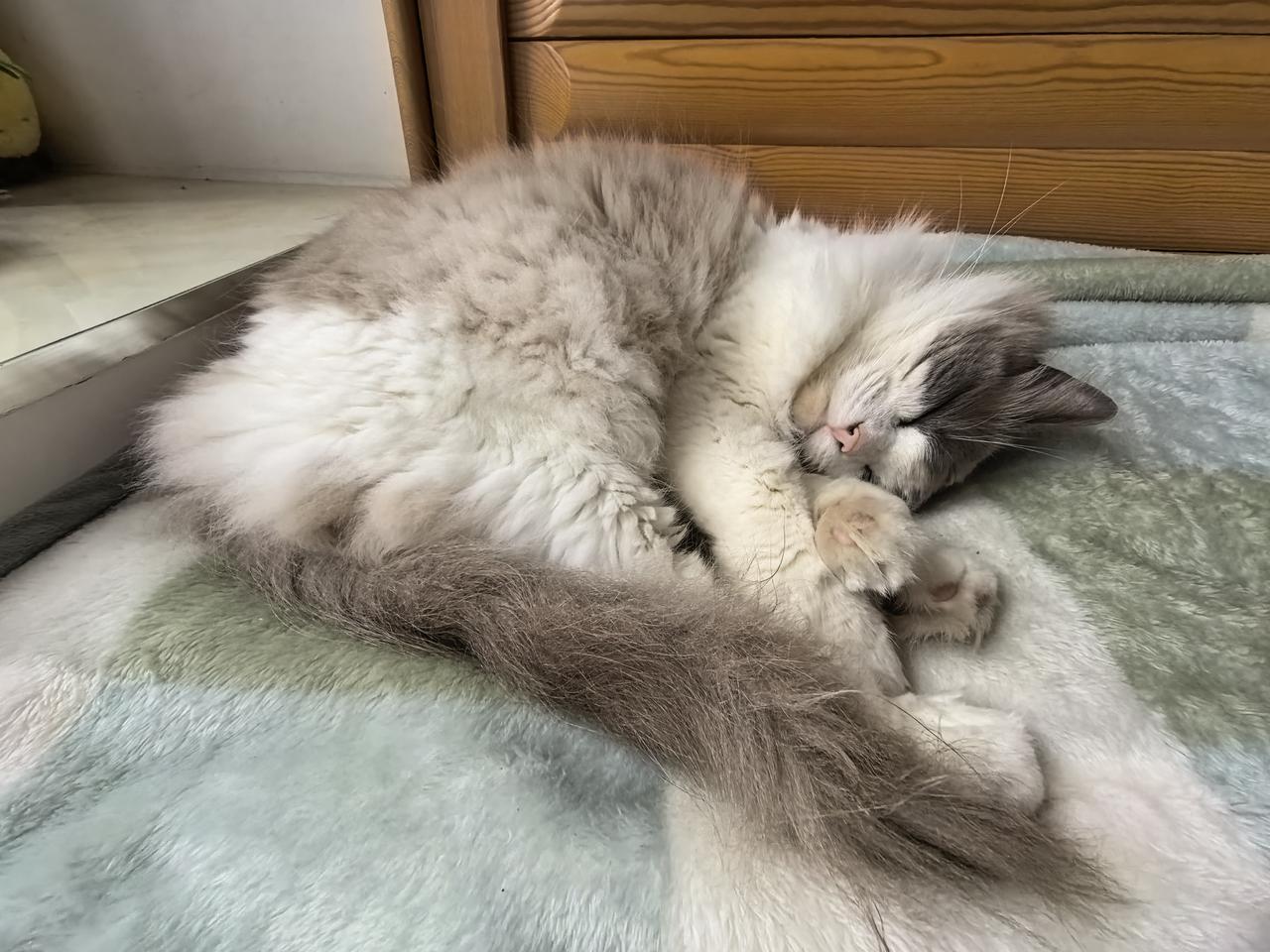 拥有300多万粉丝的大V九边Pro发文：出租车行业其实已经完蛋了，因为无人驾驶已