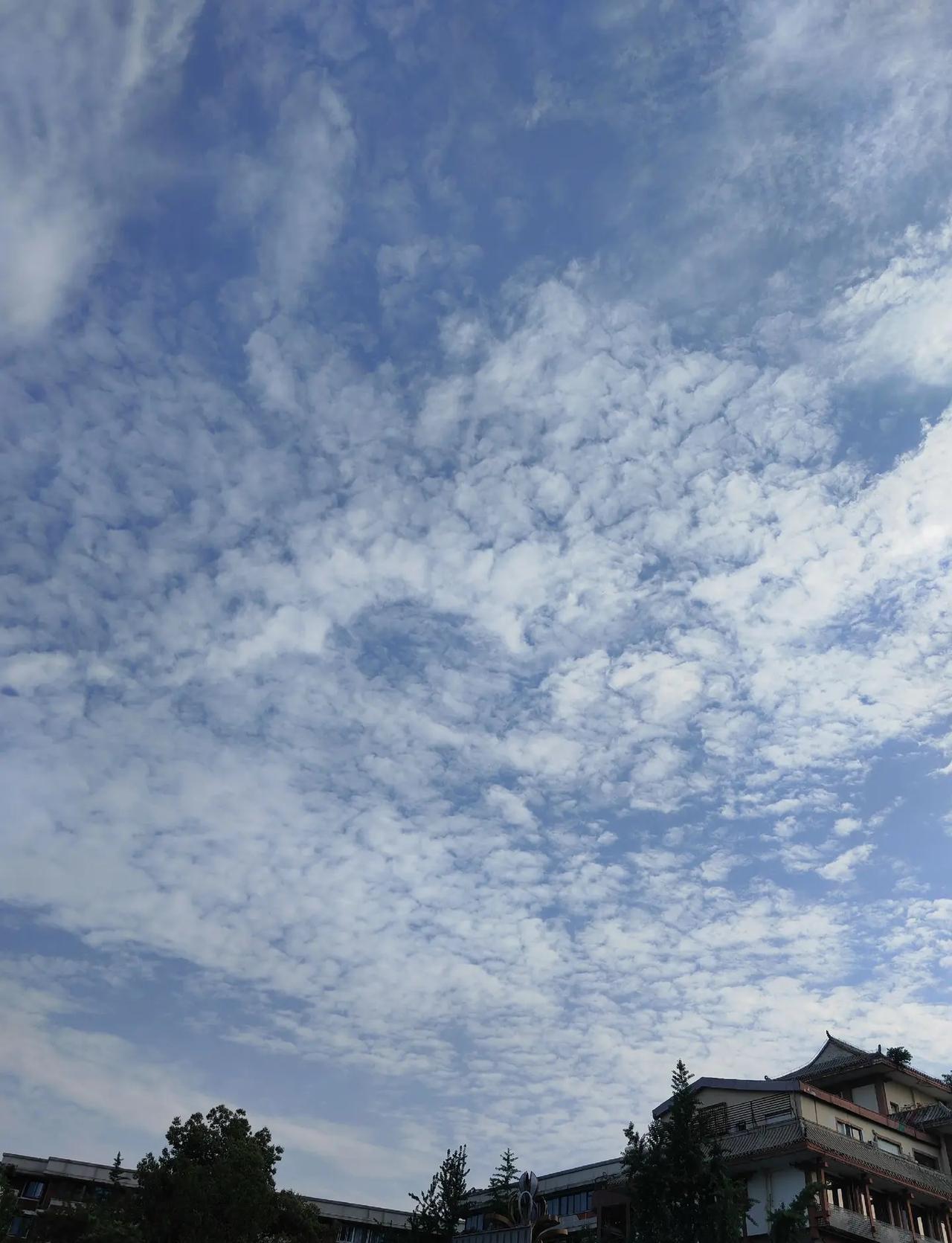 成都的天空。今天是2026年5月9日，成都晴，前两天阴，今天太阳一早就出来了，蓝