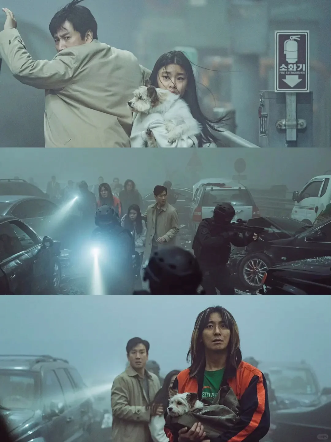 肾上腺素爆表🔥韩国蕞新丧尸恐怖片