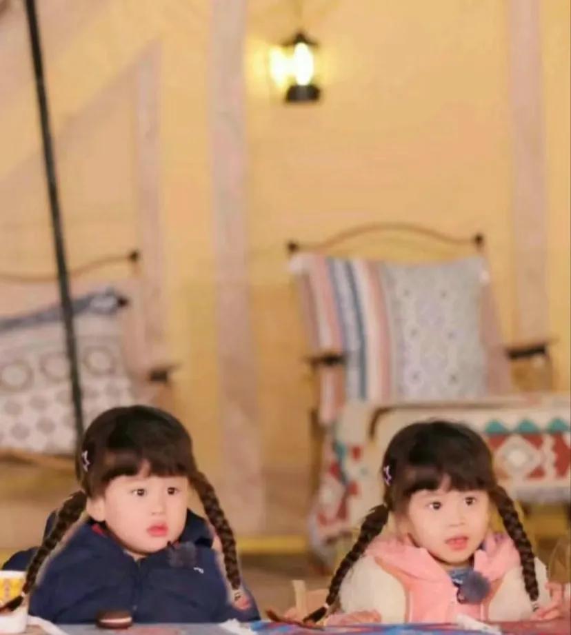 节目结束了我怎么办!!!
上次追看少儿类综艺还是爸爸去哪儿第一季，这个夏天通过综