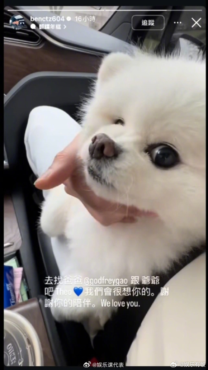 高以翔的狗狗去汪星了 31日，高以翔二哥在社交平台发文，的狗狗也去世了，想必已经