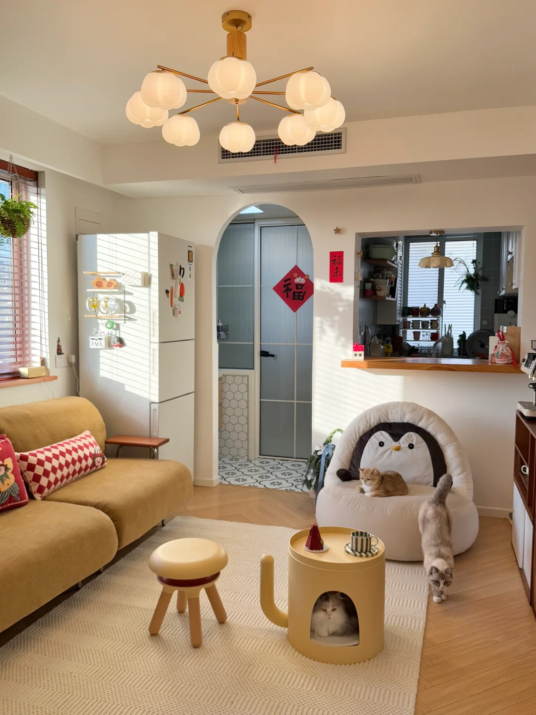 长大真好！有房有猫真好！🐈✨🏡