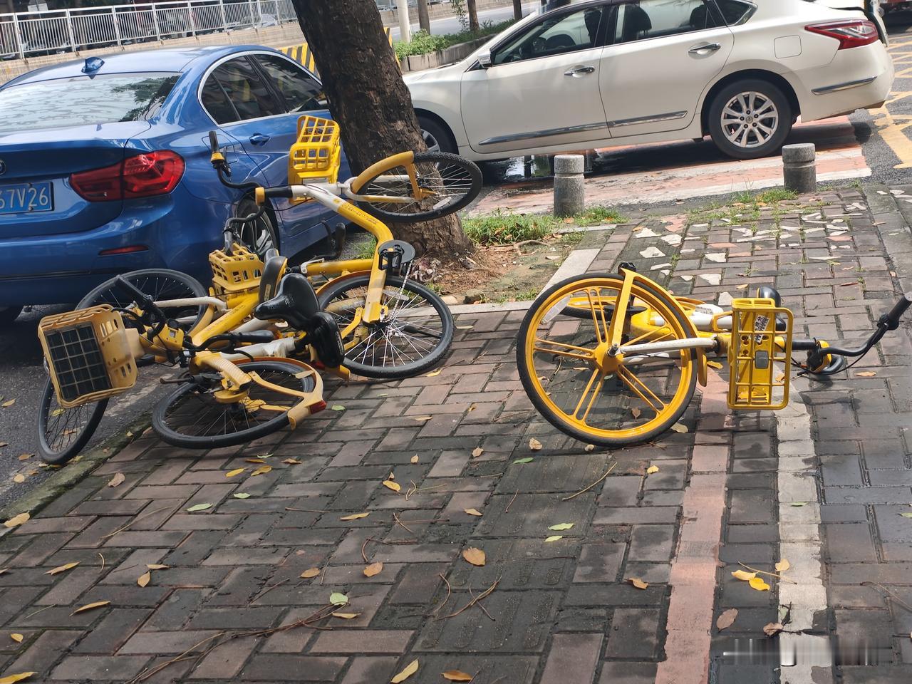 真心话茶局共享单车过时了么？6月6日上午去菜市场的路上，人行道上躺着三辆黄色共享
