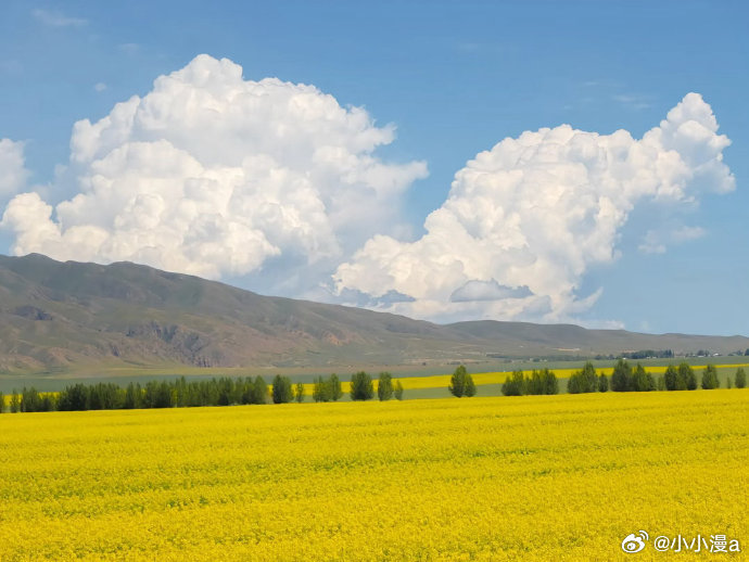 我们无法在时间的长河中垂钓，但我们可以将苦难的诘问化作觅渡的力量。——史铁生《病