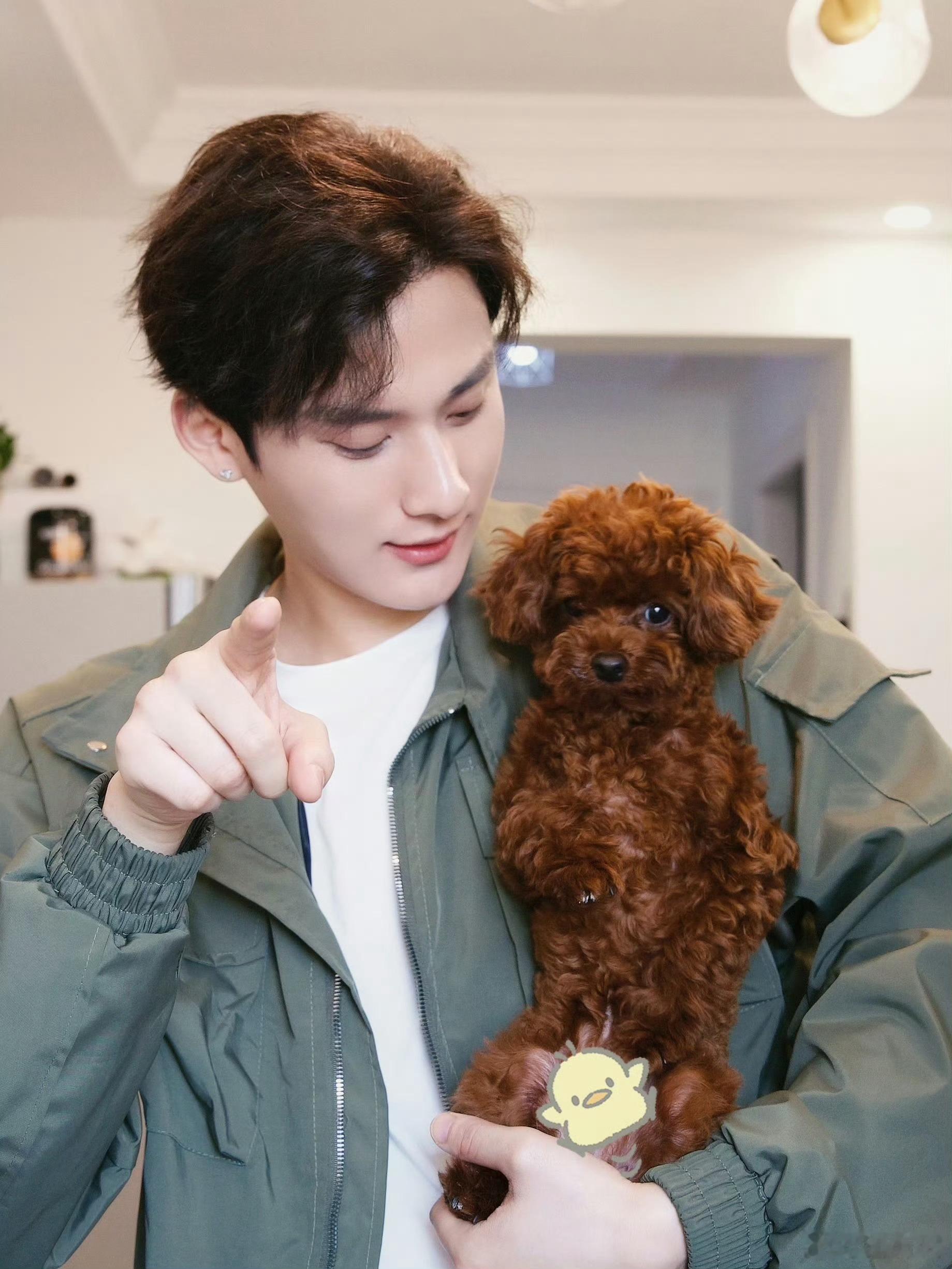 江衡这个神人给乐乐哥打码怎么这么好笑