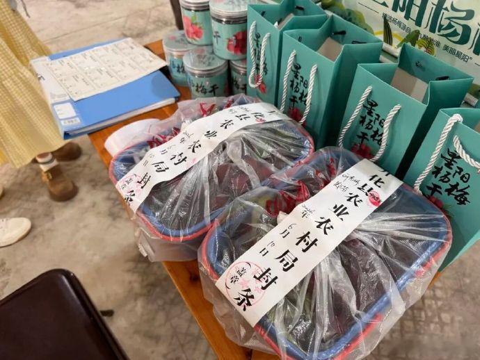 来衢州开化遇见梅好时光 500亩杨梅红了！衢州开化池淮镇星阳村，初夏最甜的约会开