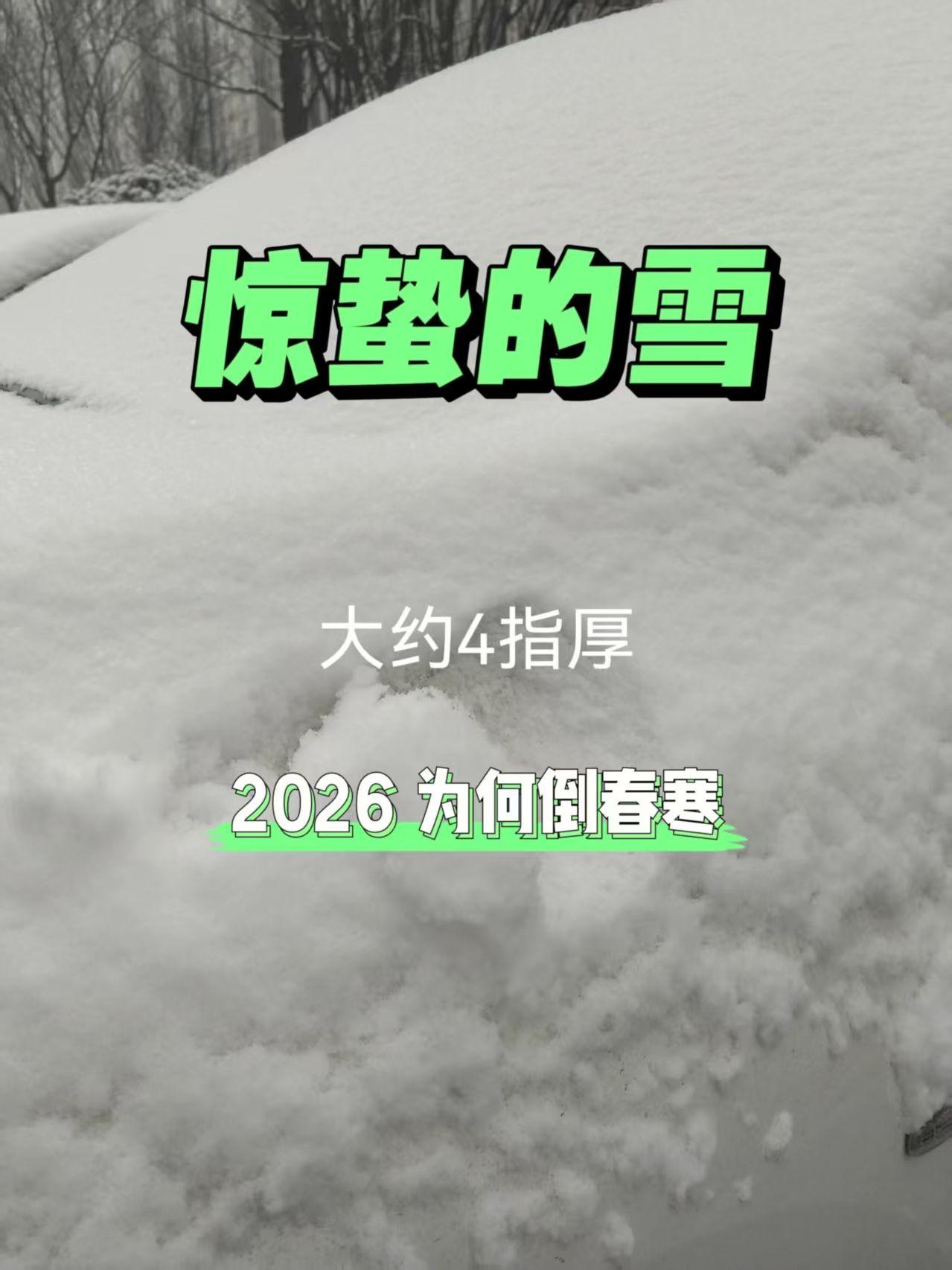 我妈昨天刚说完：惊蛰地势通，虫子都要出来了。
今天早上出门，就看到了车上4个指头