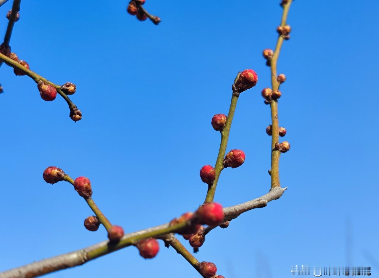 三十年婚姻像一潭水，

不冷也不热，

连吵架都懒得吵，

可心里真踏实吗？
