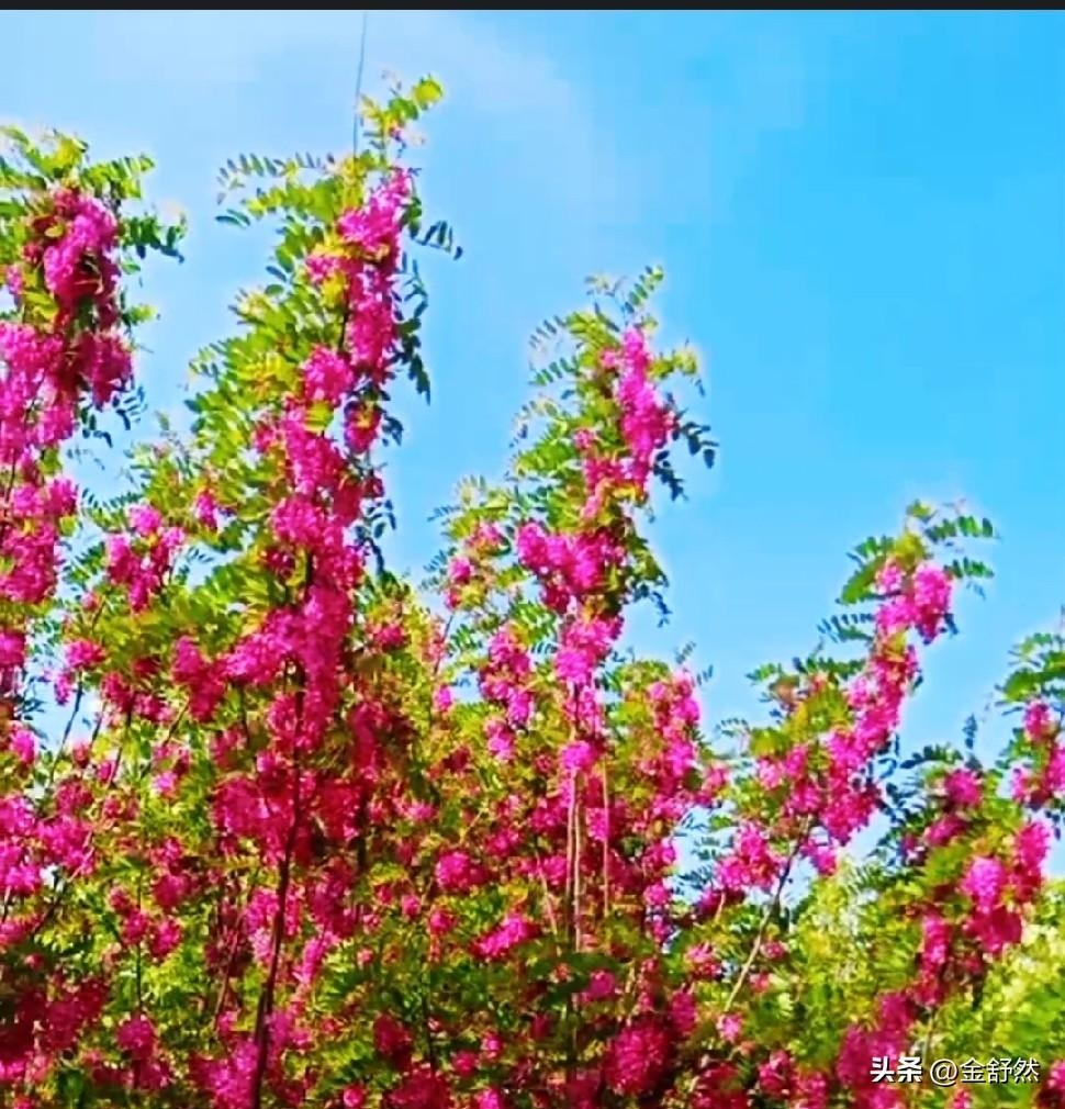 这几天总是下雨，空气潮湿闷热，早晨家里的温度明明显示25度，可是你去一趟菜市，就