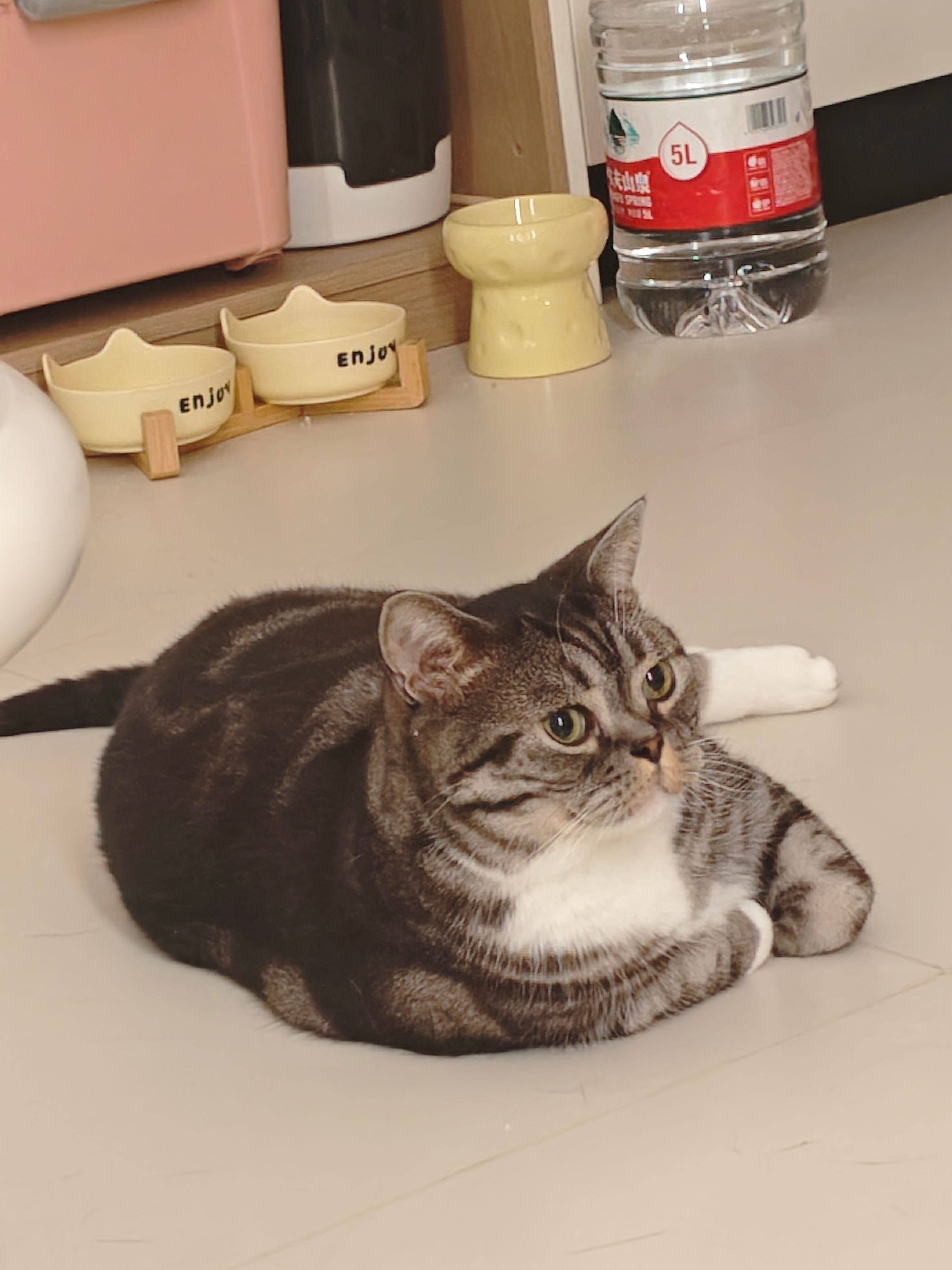 萌萌的两小只