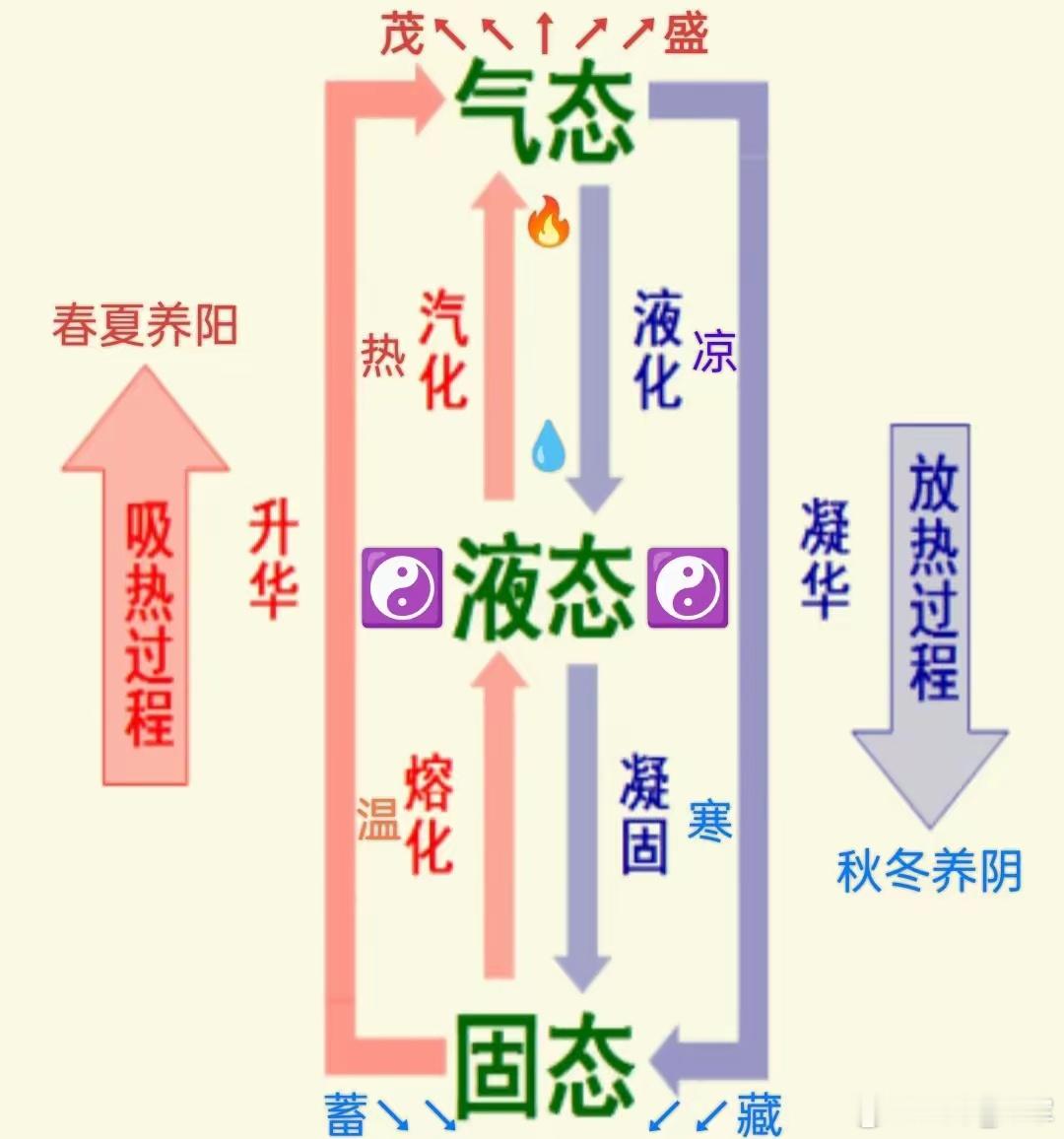 足太阳膀↖↑↗胱经，手太阳小↘↓↙肠经。​足太阳腑小经大，​手太阳腑大经小。​气