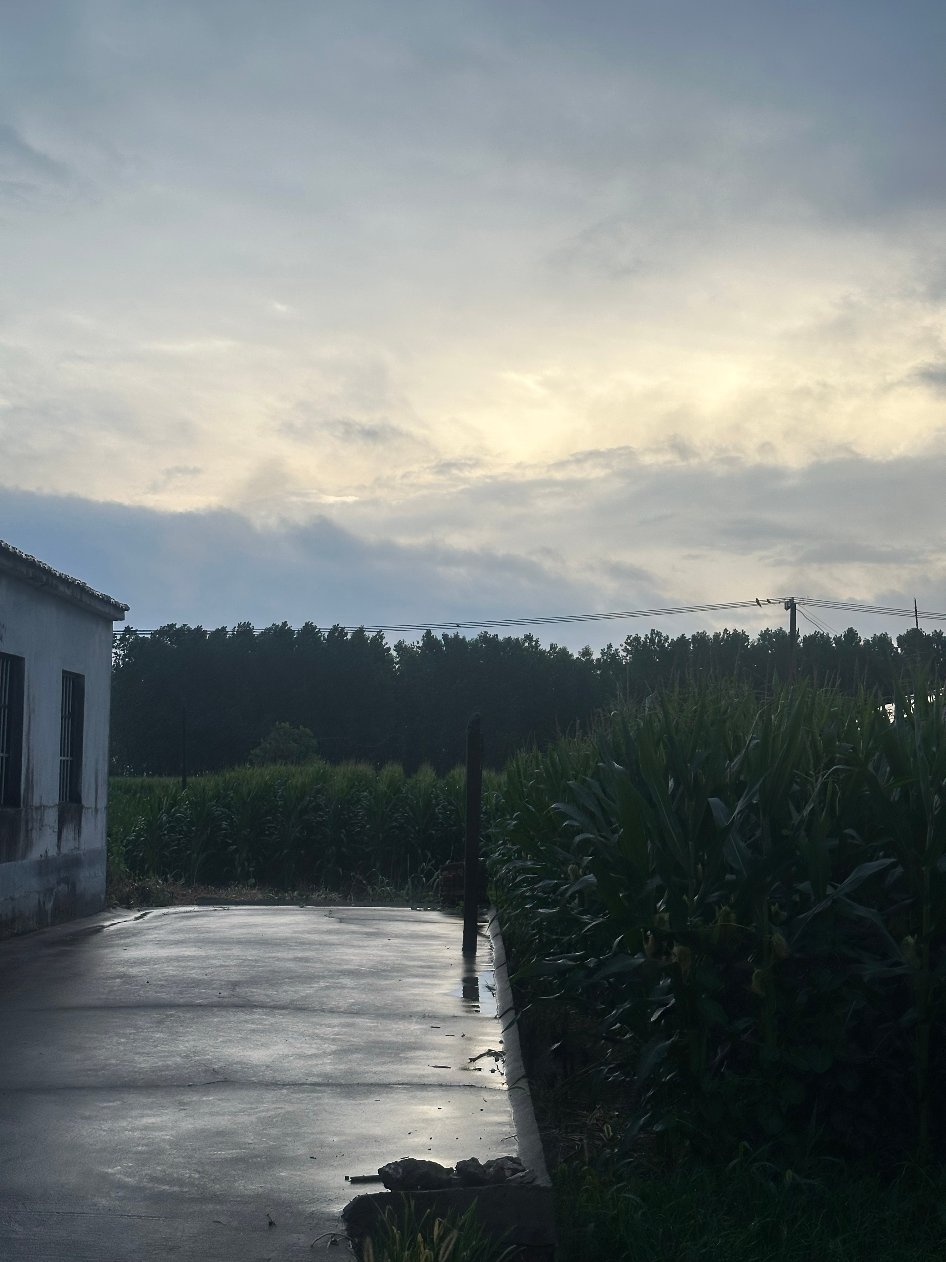 雨停了 