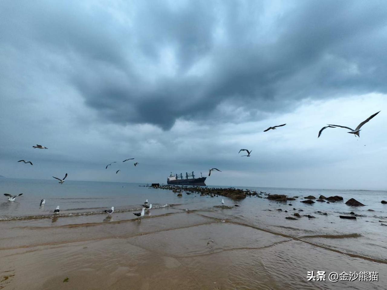 布鲁威斯号搁浅巨轮拍摄打卡。
图文原创：成都市摄影艺术家协会  乔建文
分享城市