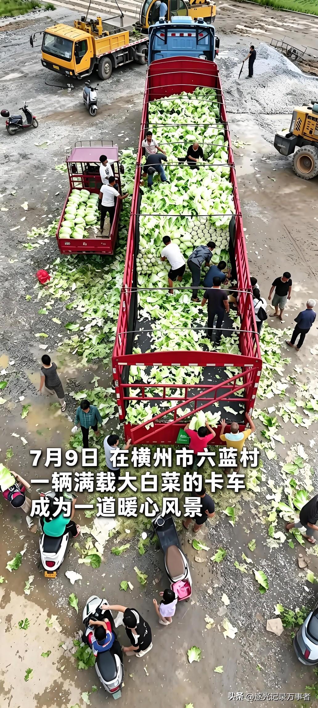 南宁横州市六蓝村的空地上，一辆满载大白菜的红色大卡车，成了洪涝灾区最暖心的风景。