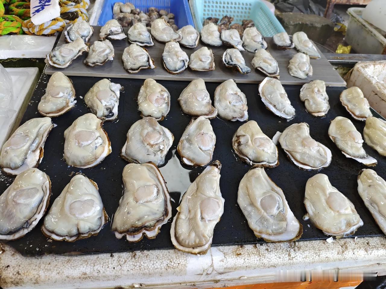 来到广州南沙最南端的海鲜市场逛逛，这边的海鲜品种也还挺多的，生蚝的个头很大，肉质