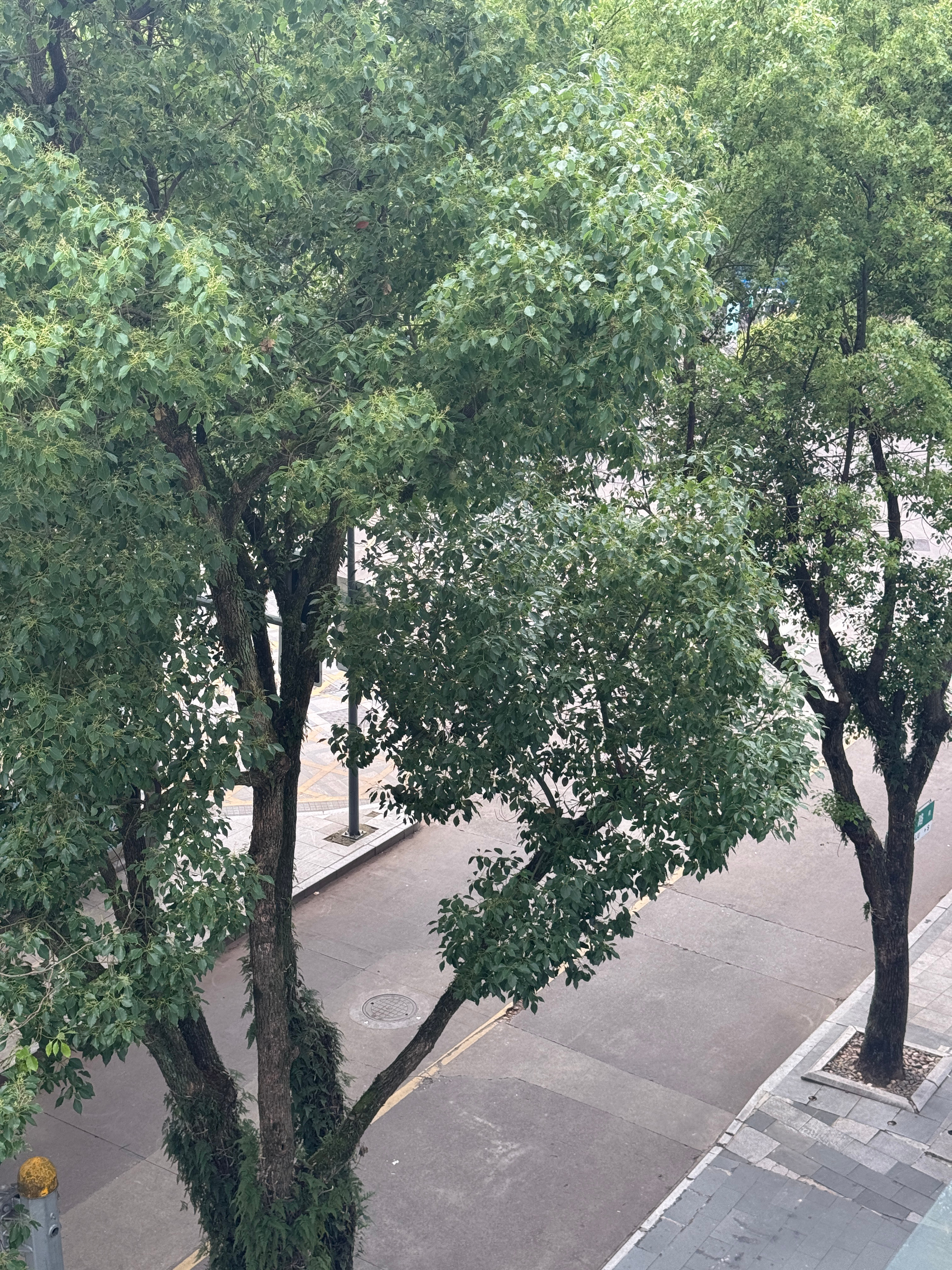 又开始新的一周啦临海