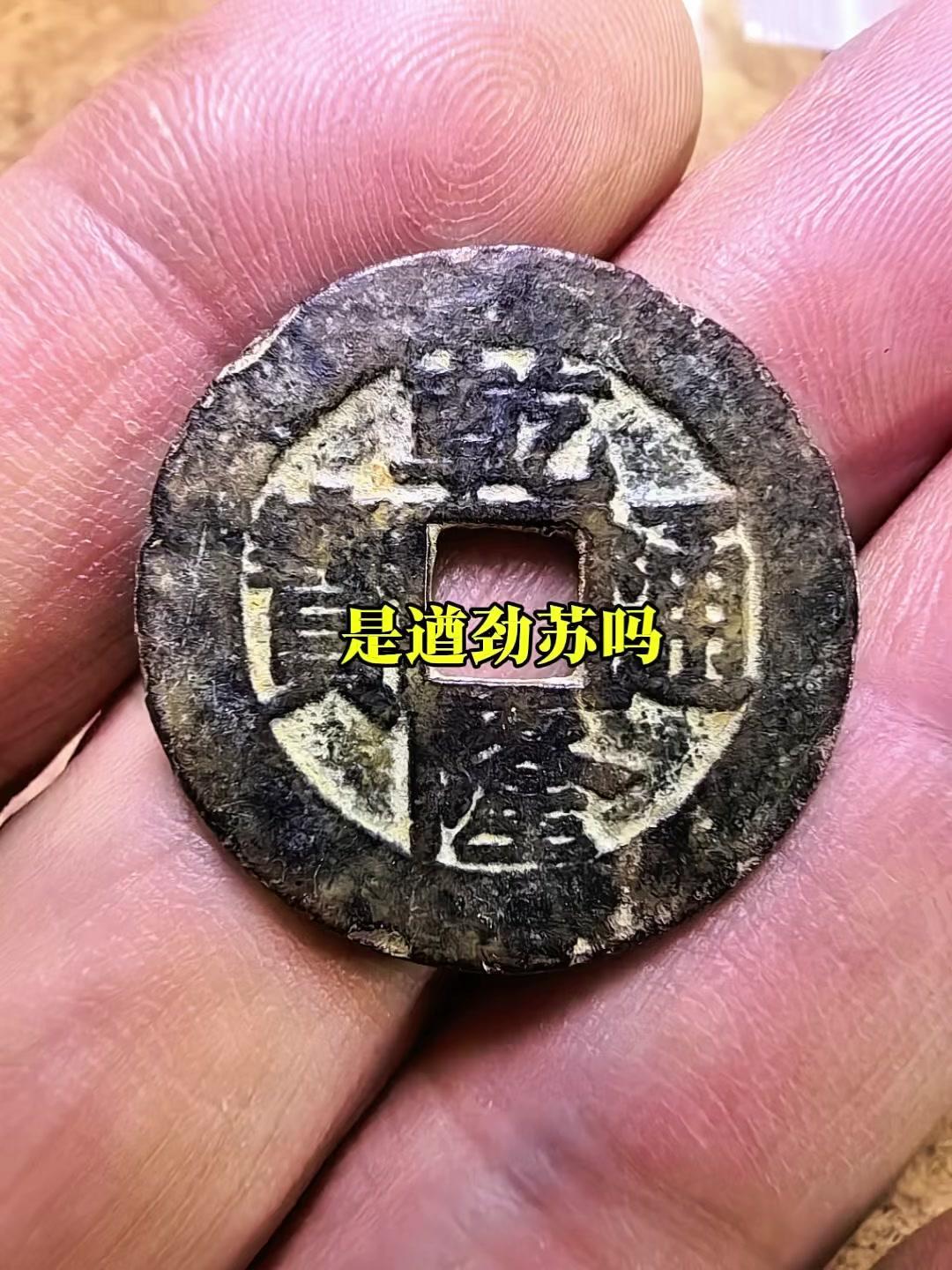 遒劲苏你有吗？人一定要疯狂爱上点什么，才不至于被无趣的生活吞没。
我们的肉身只需