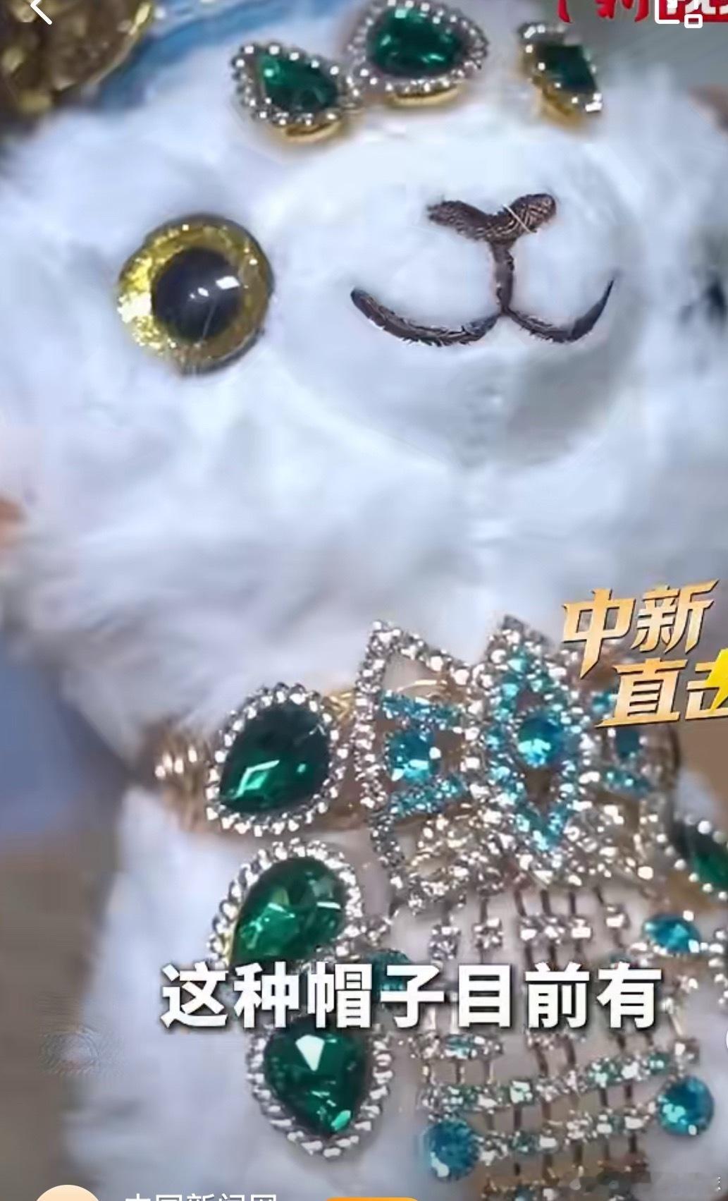 新疆拉布布摊主手要抡冒烟了这是新疆拉布布真的特别可爱啊，好喜欢这样的小羊羊，我也