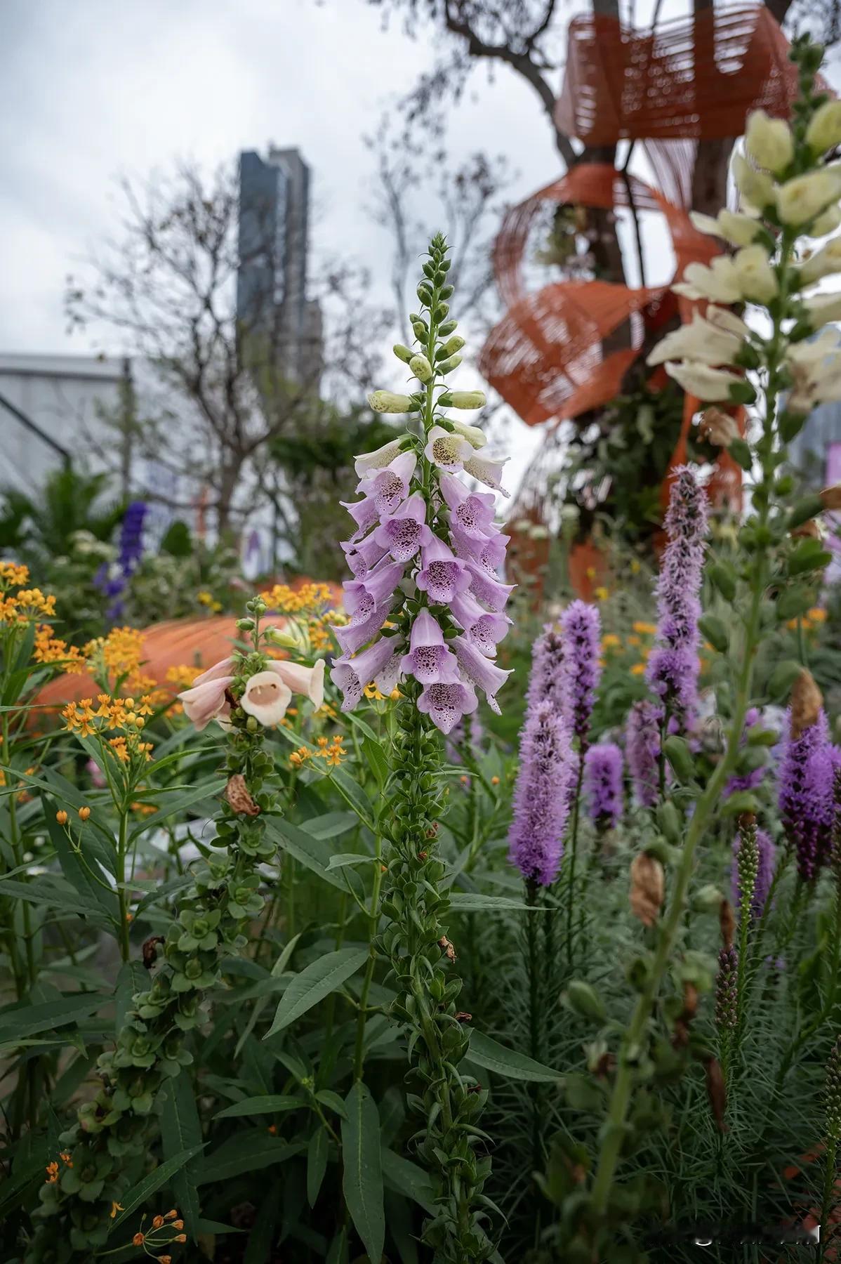 深圳花展每次这几种花都挺多
这些花确实好看，搭配起来就很春天的样子，红红绿绿，五