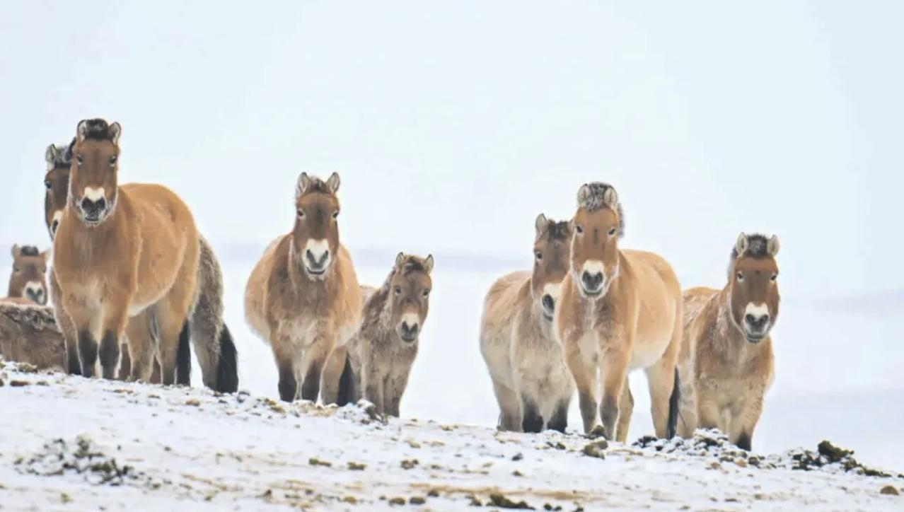 【那些不经思考便急于分享的心情，有时会不经意间成为人际交往中的微妙刺，无意间拉开