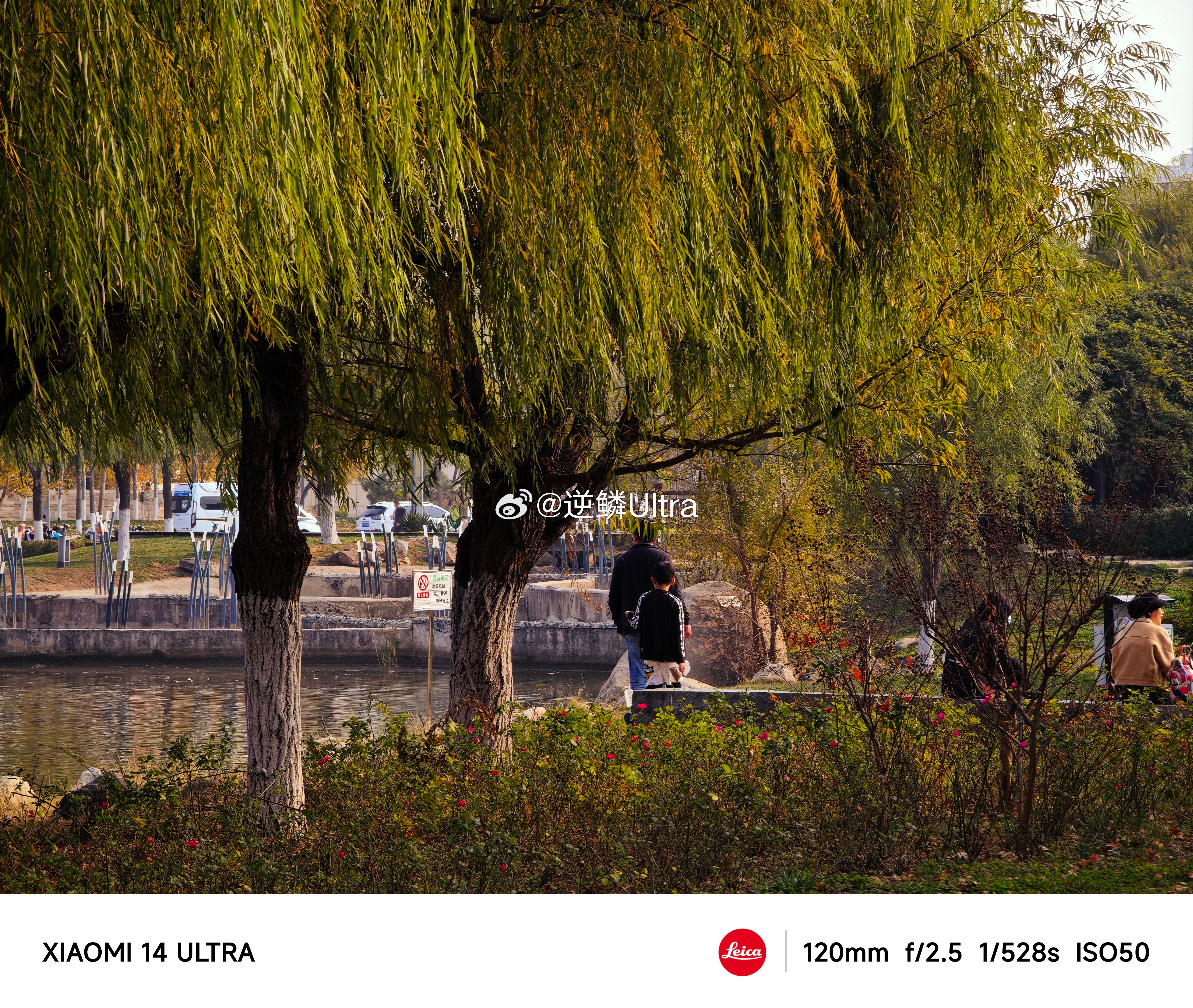 晚安，朋友们，早睡早起身体好 