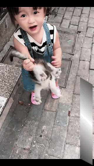 简单粗暴