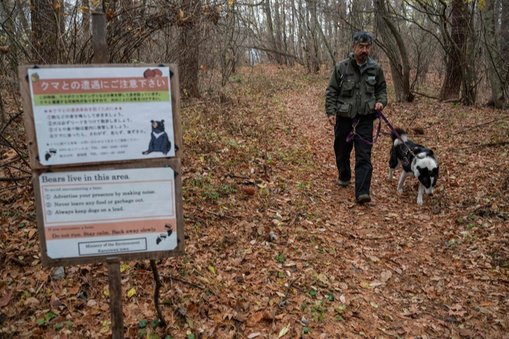 #日本熊出没致多人死伤#【日本“熊出没”致多人死伤】据日本《朝日新闻》10月25