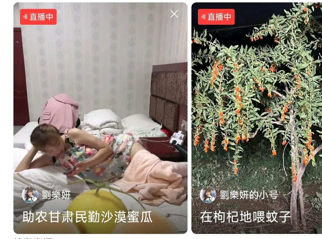 老板就是老板！老板在床上吹着空调直播，员工在地里，享受着蚊虫直播！