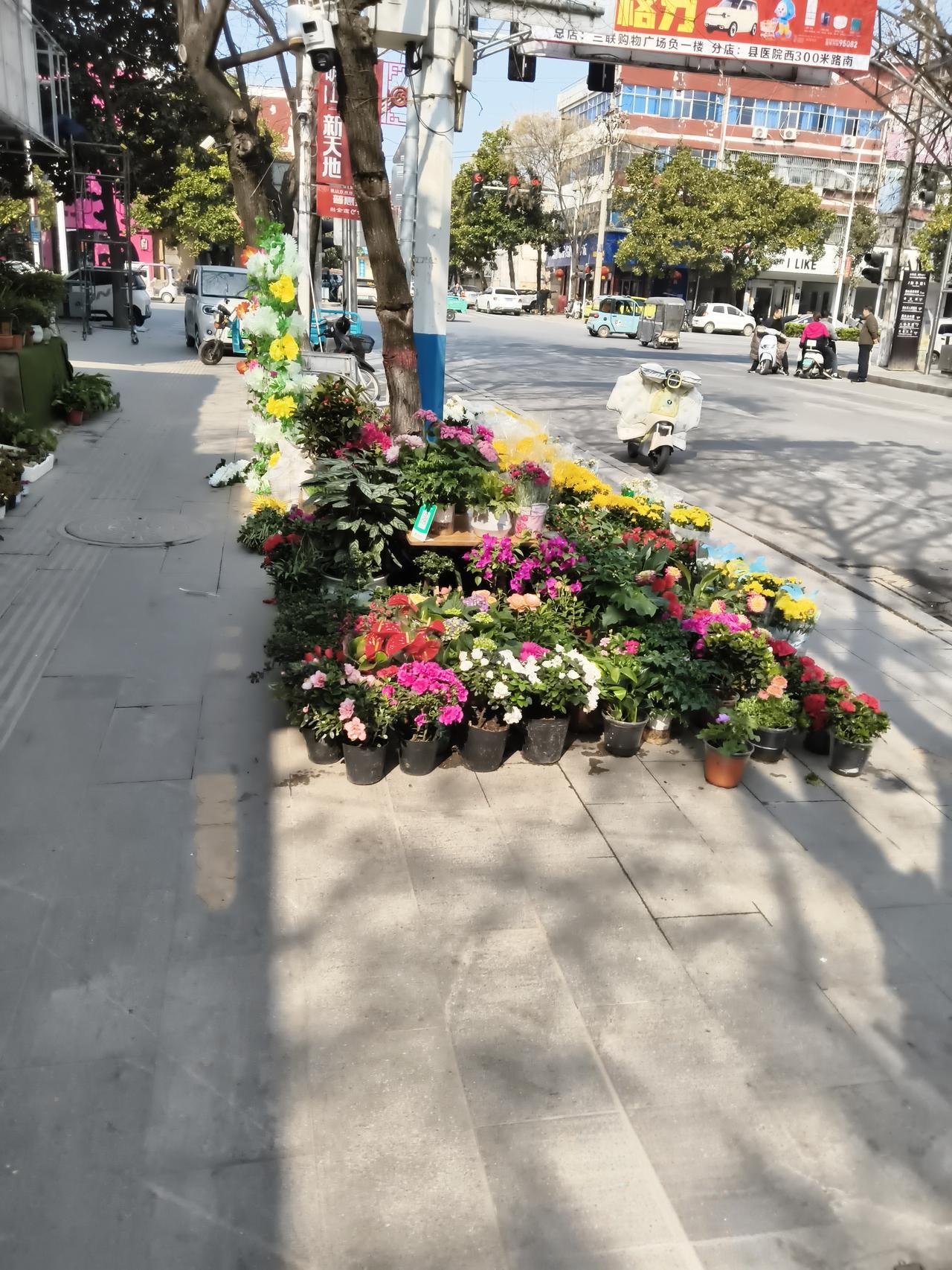 晒出你的本地生活每天从花店门口走过，真的很舒服的感觉。不用跑出远门，不用到处跑。