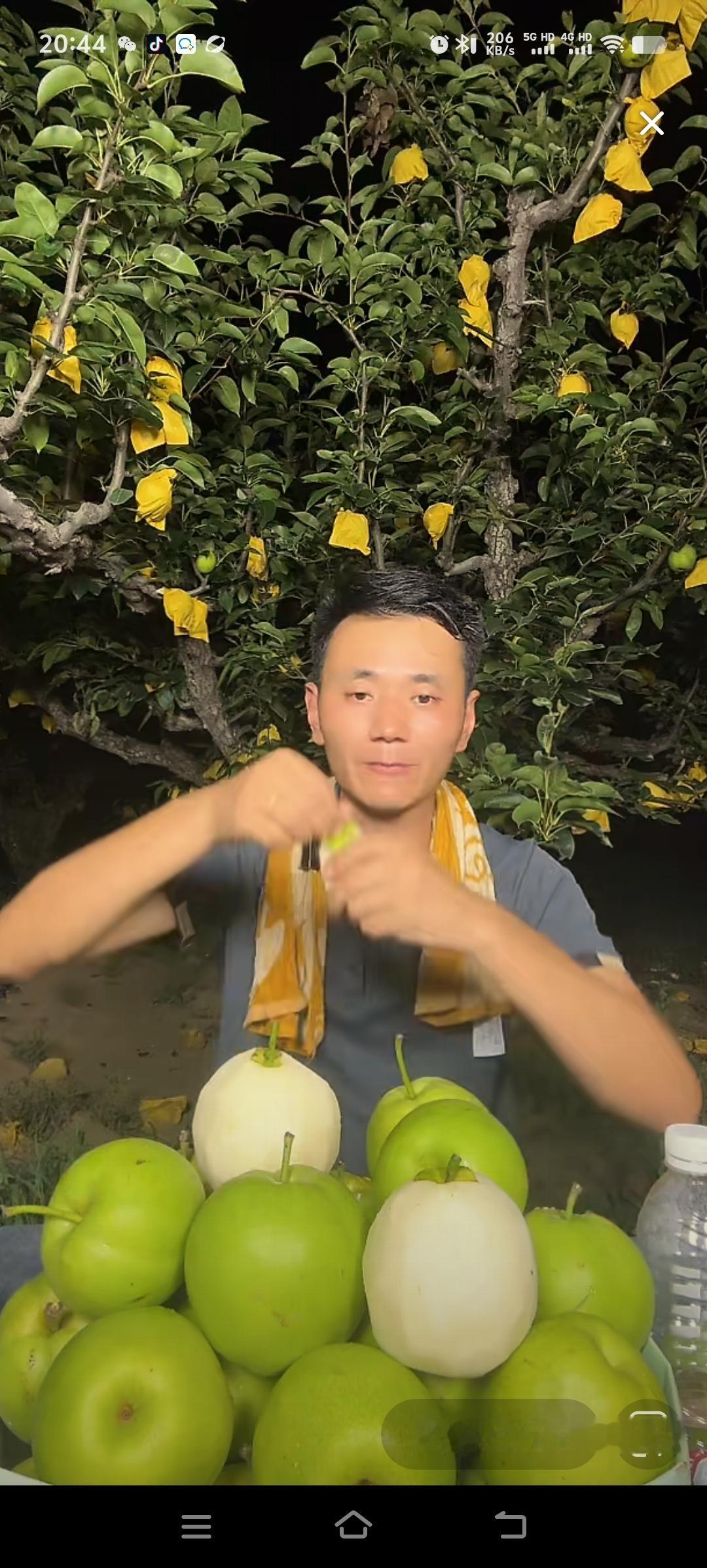 厉怀远老家果园里的水果上市了，夏天夜里在户外直播蚊虫叮咬让人难以忍受，但是他是一