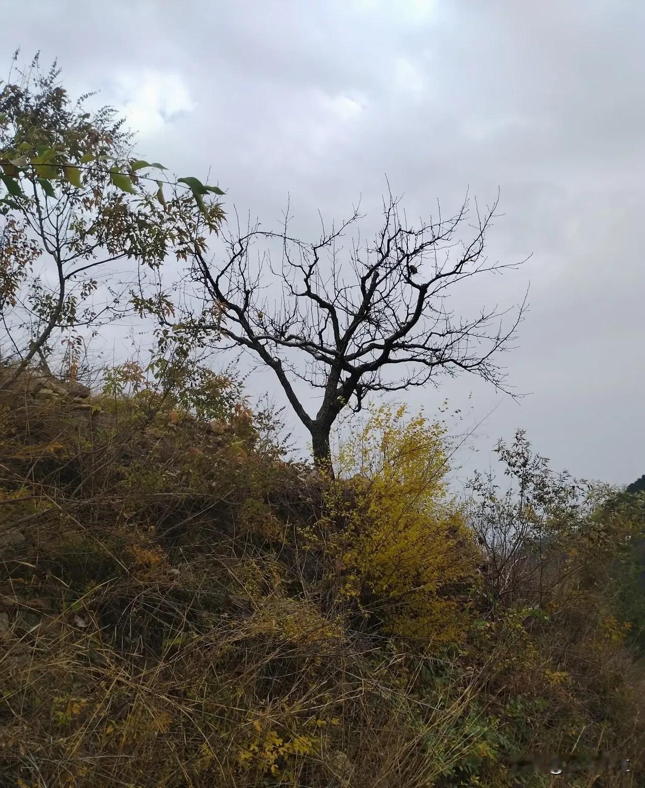 我是一个热心肠的人，有时候群里有人发消息，问是停水了吗？我就打开水龙头看看。然后