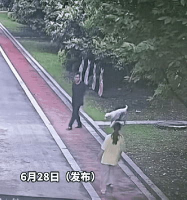 一个女子正在走路，突然窜出来一只大狗，直奔女子并往女子的身上扑。
女子吓得手捂着