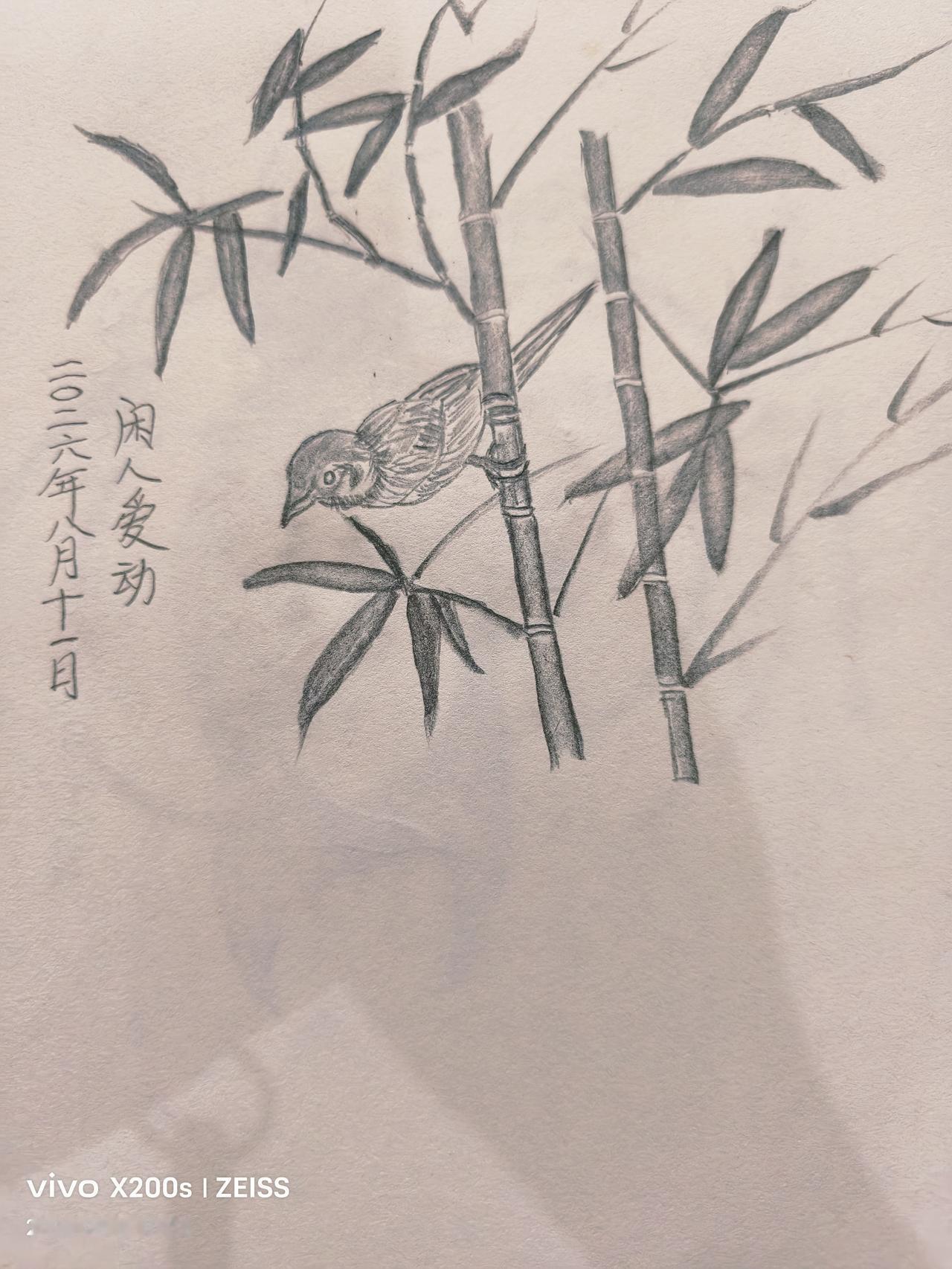 晒晒你最近的画竹林中的小鸟，闲人爱动铅笔绘画。