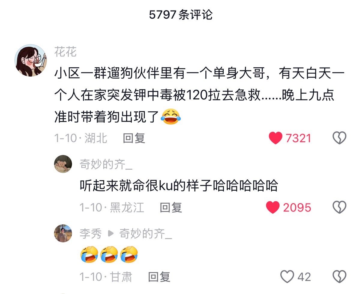 对比其他人遛狗，我已经是最幸福最轻松的