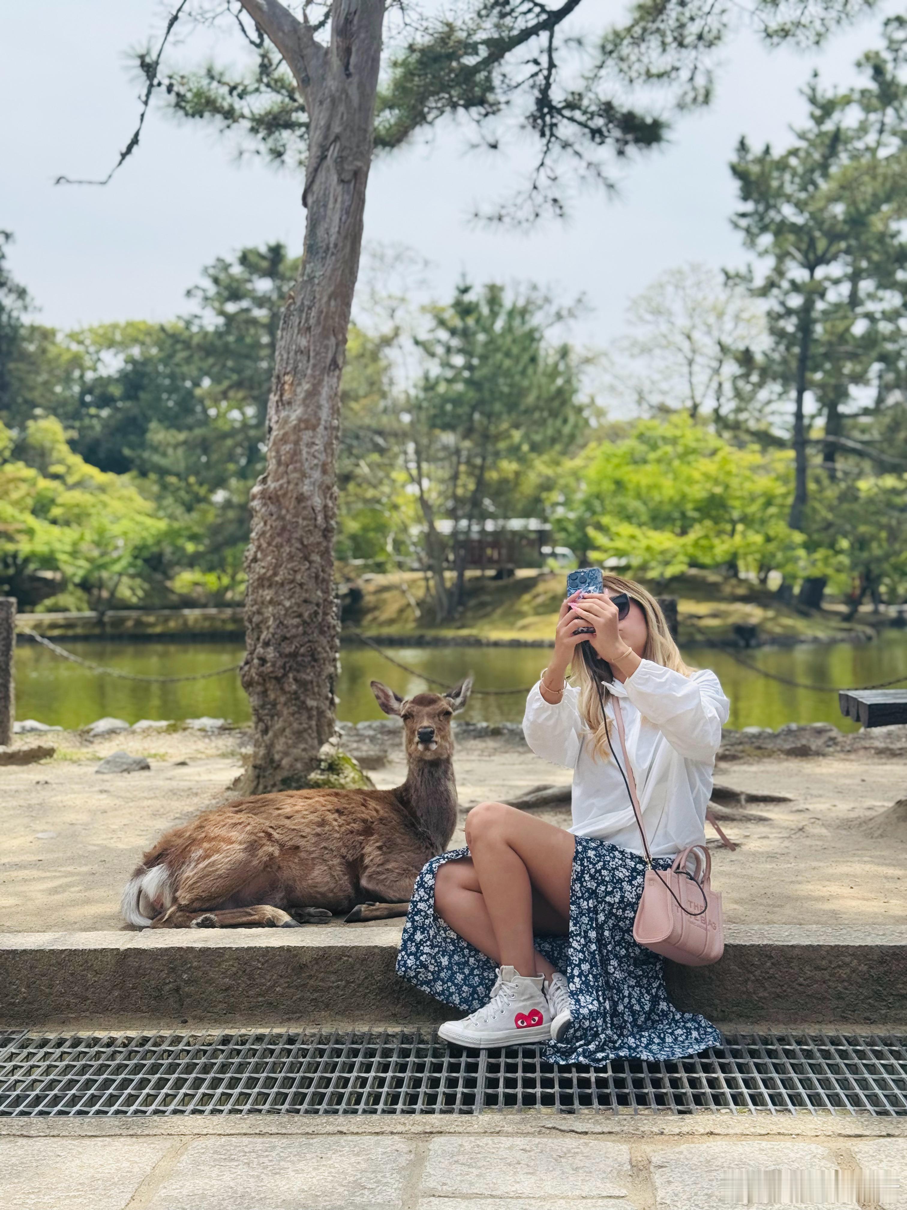 奈良的🦌真好看 ​​​