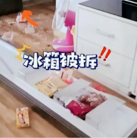 没人性！5月8日，黑龙江一女子坐月子没奶水，娘家送来几十斤排骨猪脚让她补身子，谁