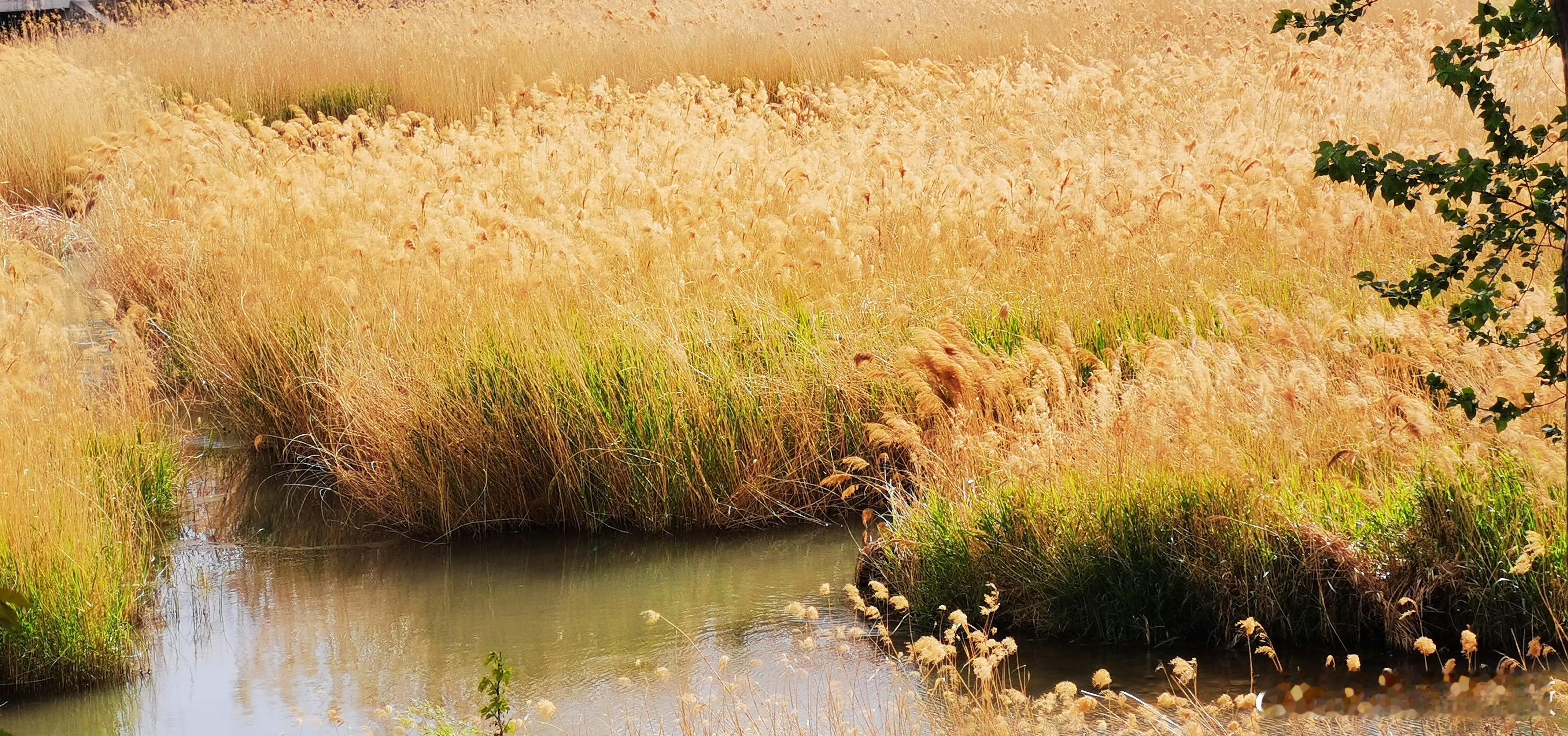 太急是一种很强的负能量   ⭐“急”常常被视作负面情绪，代表浮躁、焦虑与失控，却
