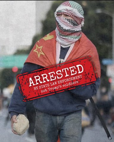 惨，在洛杉矶披苏联国旗的老哥被逮捕了，正牌美国公民，不是非法移民。LAPD抓的，