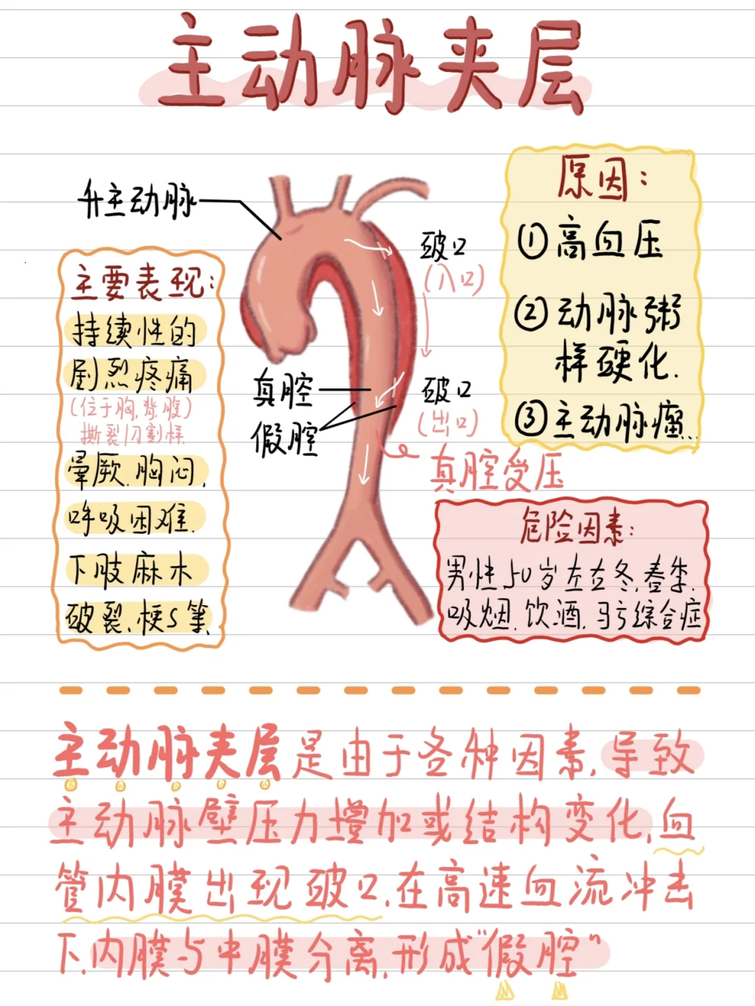 人体自爆“💣”---主动脉夹层