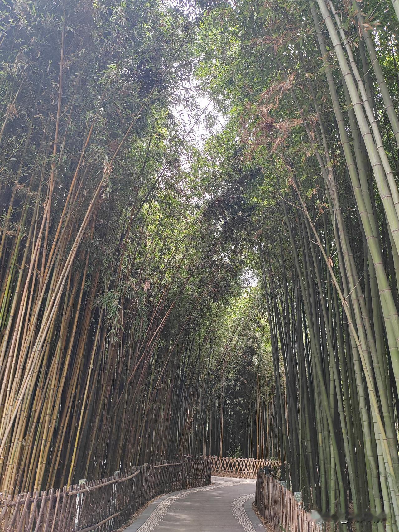 很喜欢的一段话：
人生似旅途，一边再见，一边遇见， 好多人代替了好多人， 好多人